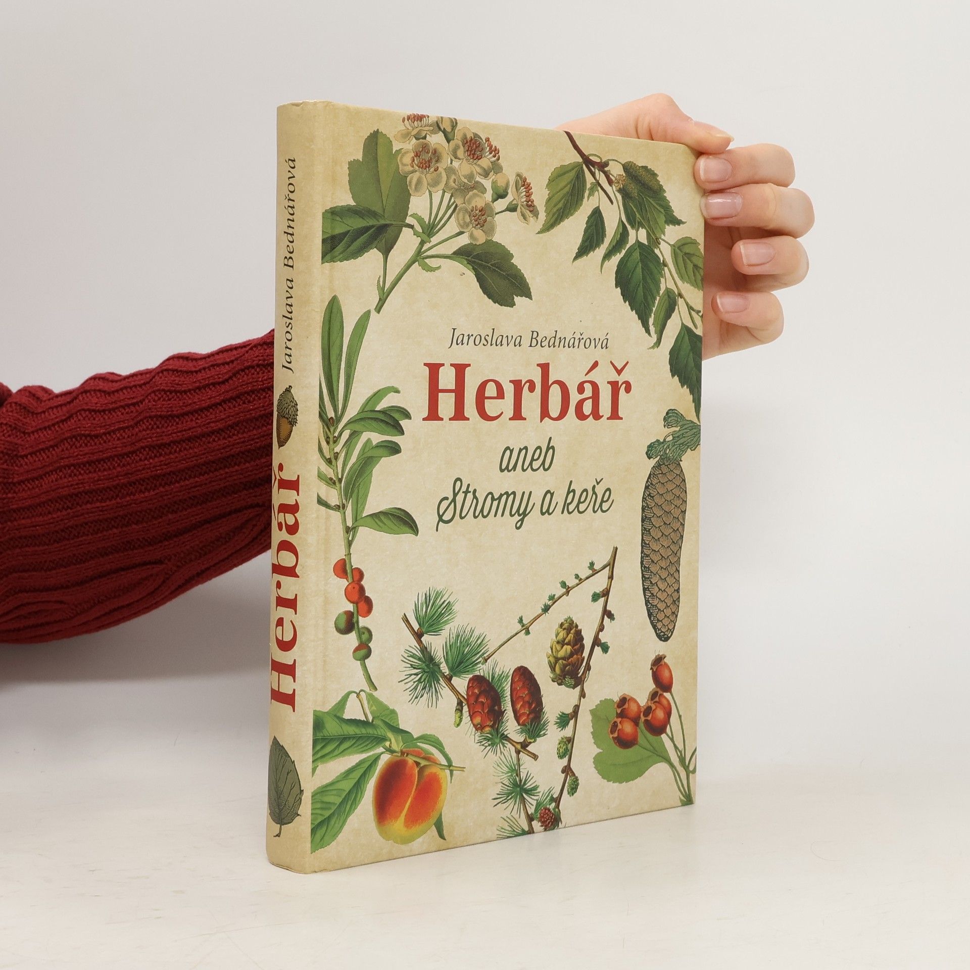 Jaroslava Bednářová Herbář aneb Stromy a keře