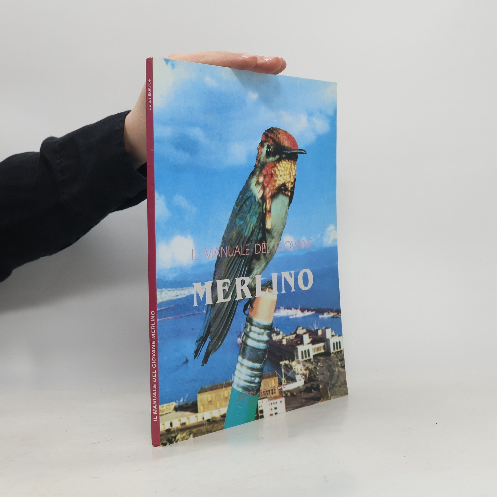 Kolektiv autorů Il manuale del giovane Merlino