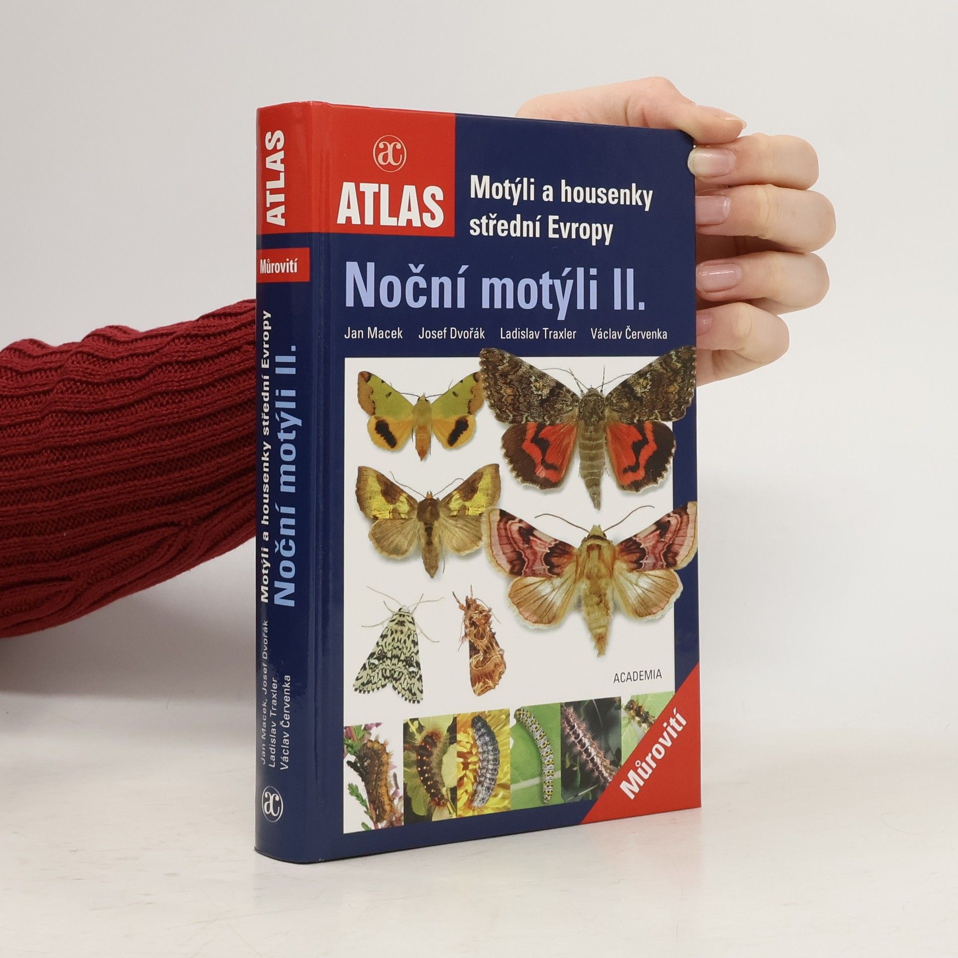 Josef Dvořák Noční motýli II.