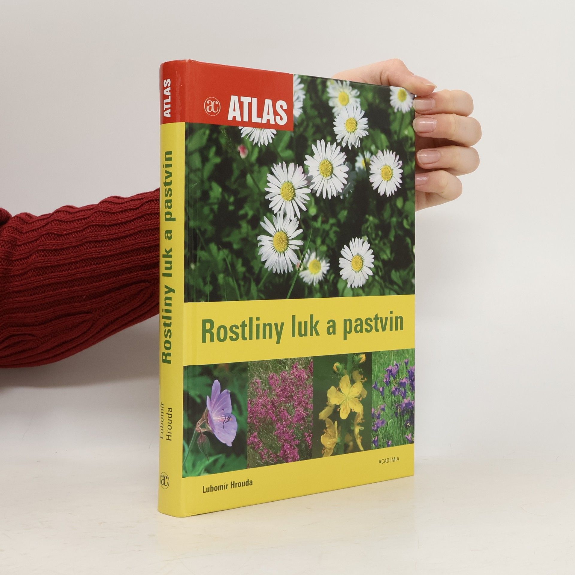 Rostliny luk a pastvin