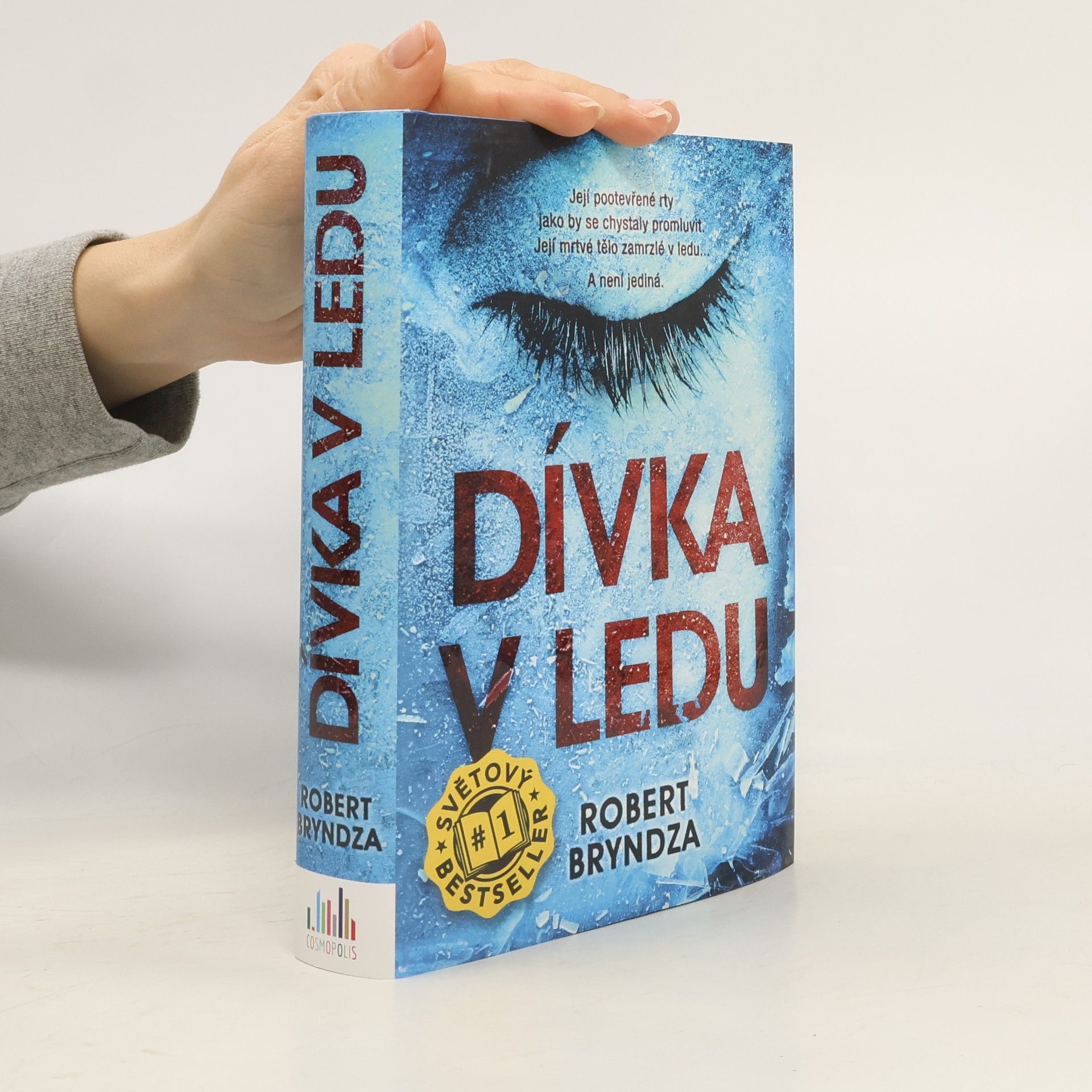 Robert Bryndza Dívka v ledu