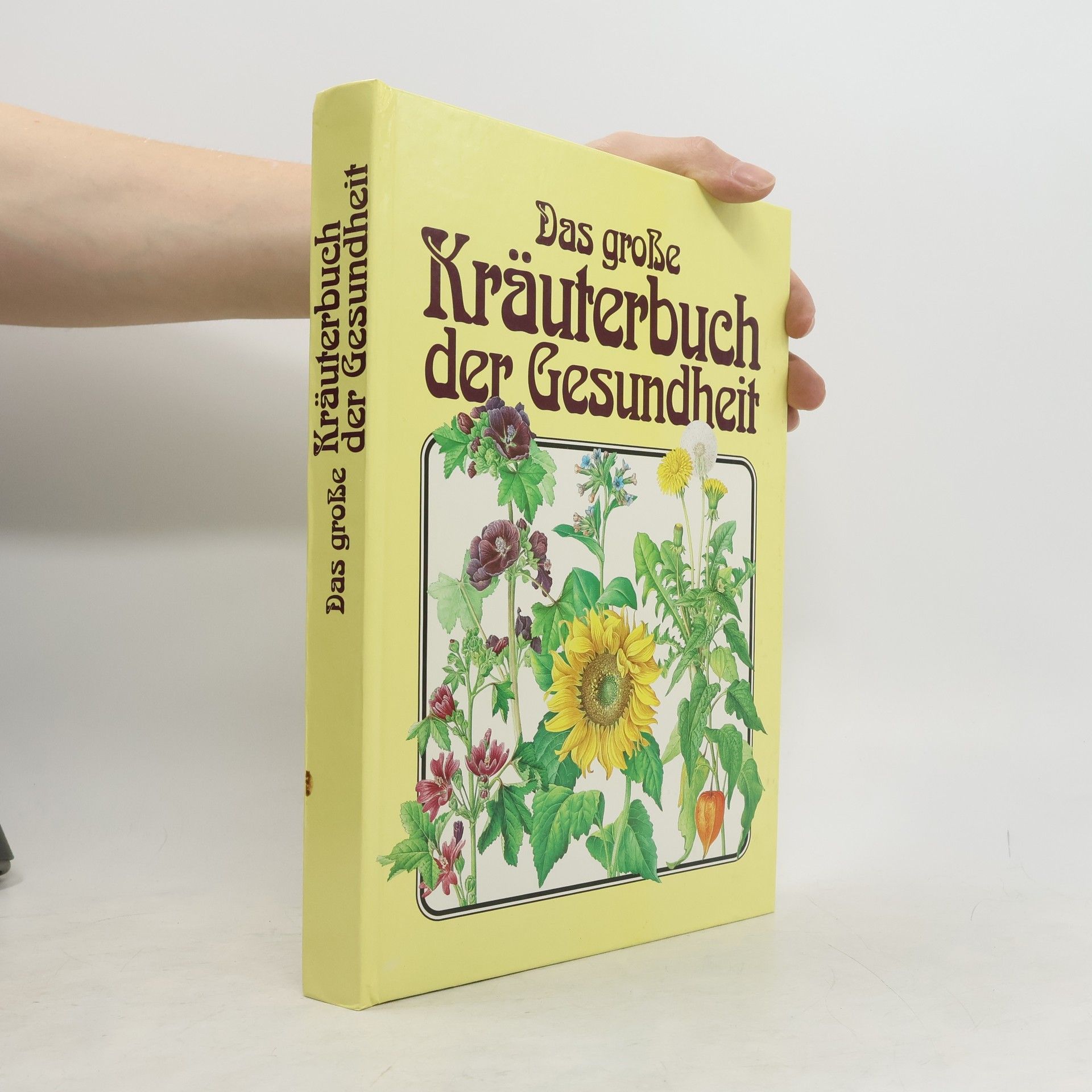 Hermann Lichtenstern Das große Kräuterbuch der Gesundheit