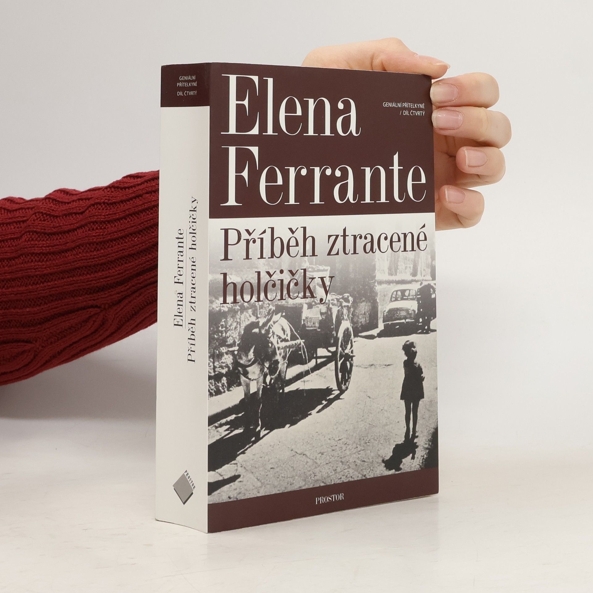 Elena Ferrante Příběh ztracené holčičky. Geniální přítelkyně. 4. díl