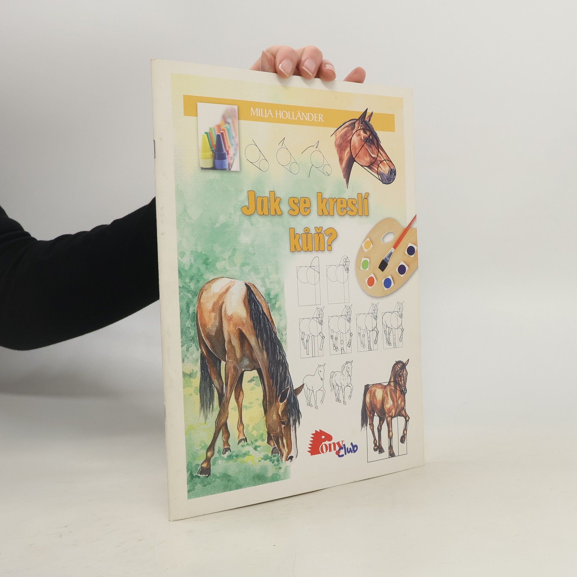 Jak se kreslí kůň?