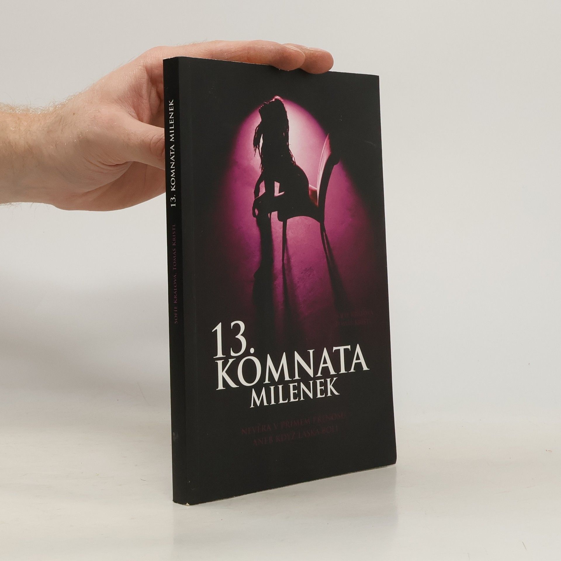 Tomáš Kristl 13. komnata milenek. Nevěra v přímém přenosu, aneb když láska bolí