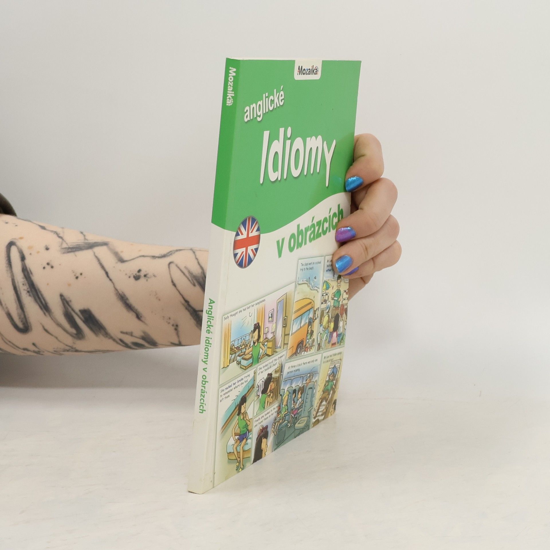 Rosalind Fergusson Anglické idiomy v obrázcích