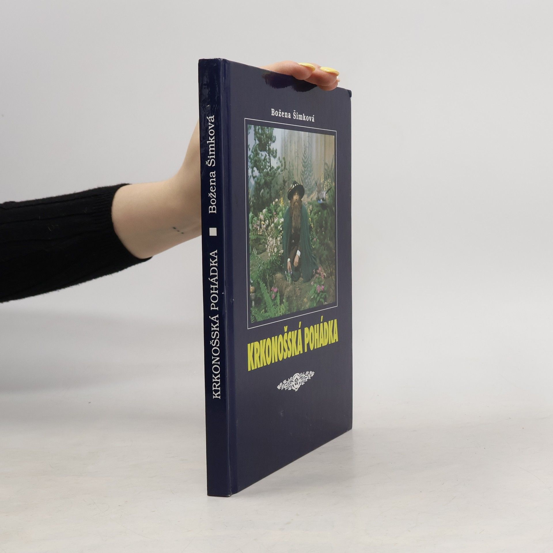 Krkonošská pohádka