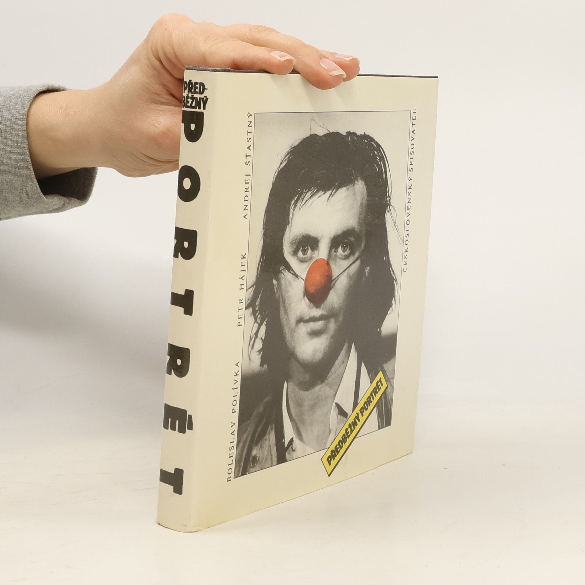 Předběžný portrét