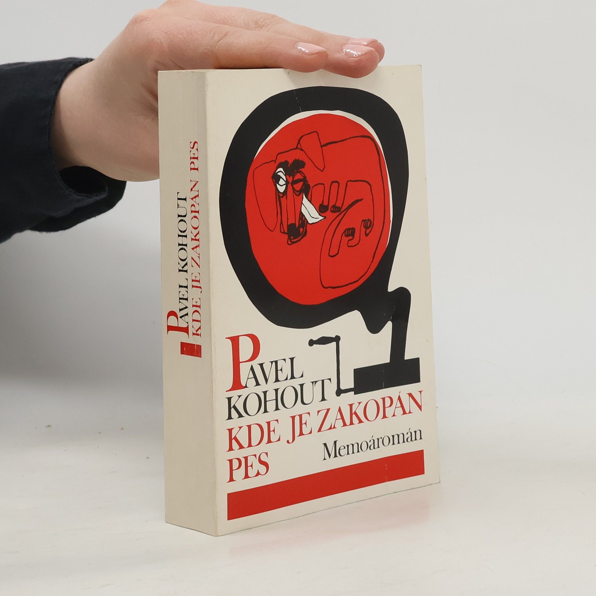 Pavel Kohout Kde je zakopán pes