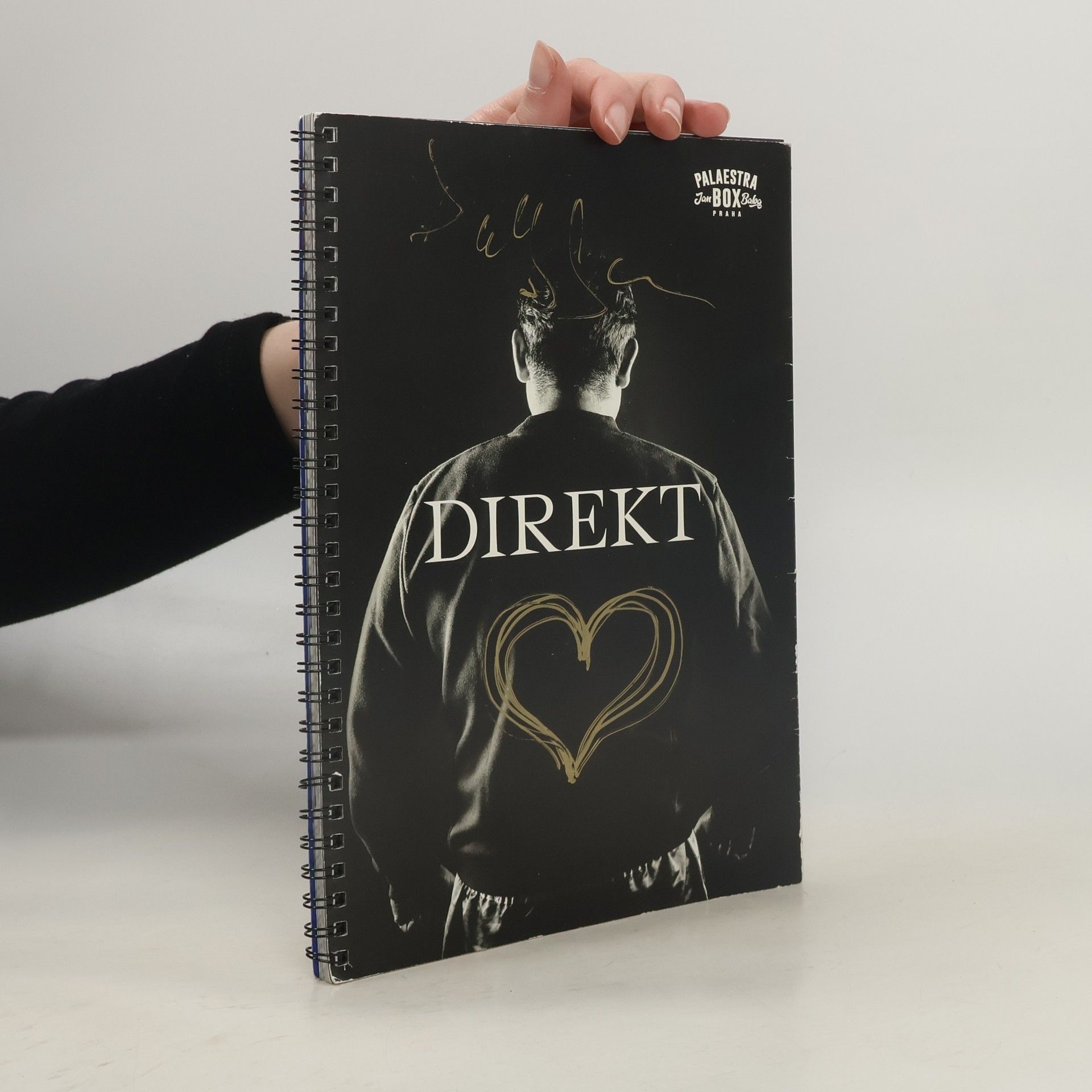 Kolektiv autorů Direkt