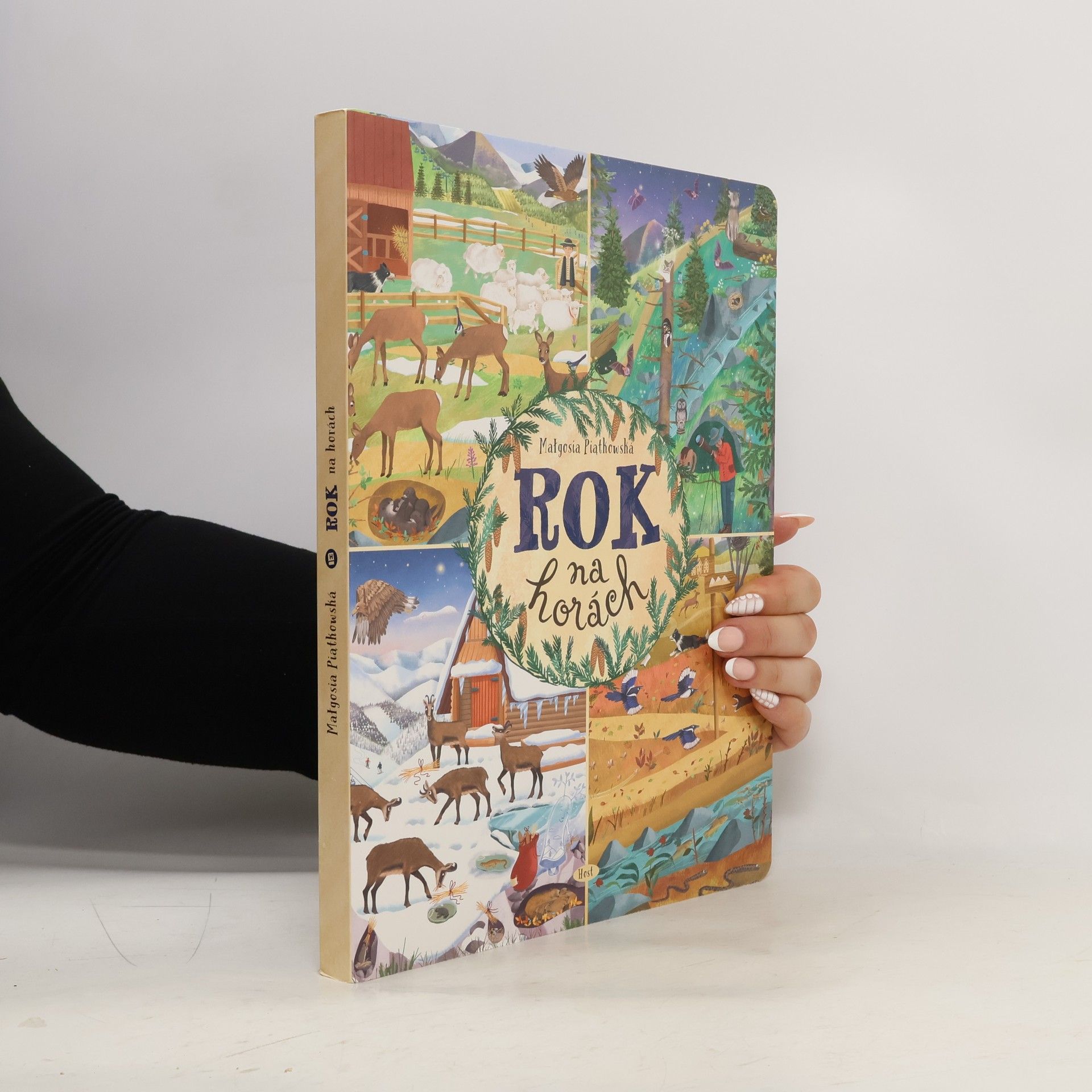 Piatkowská Malgosia Rok na horách