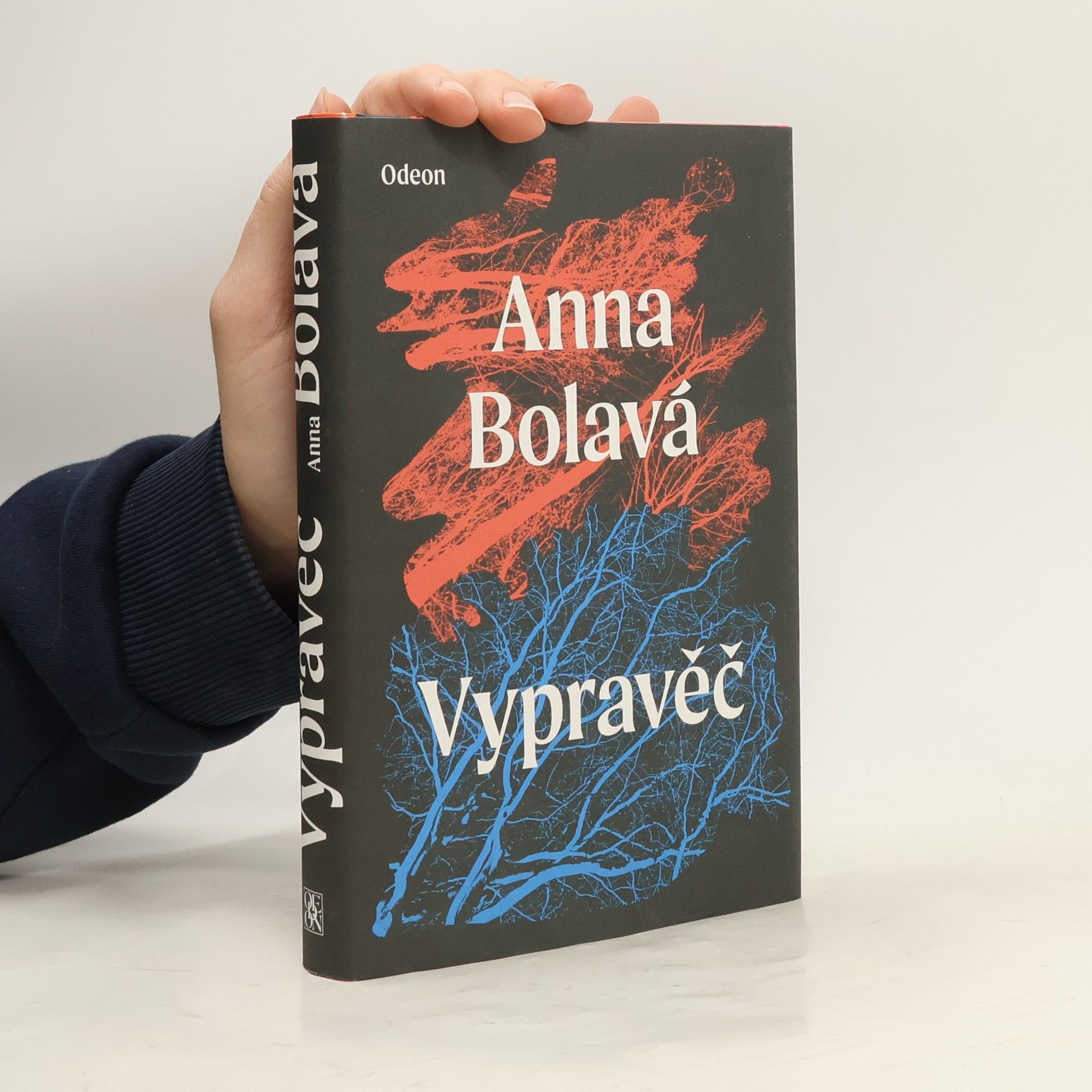 Vypravěč
