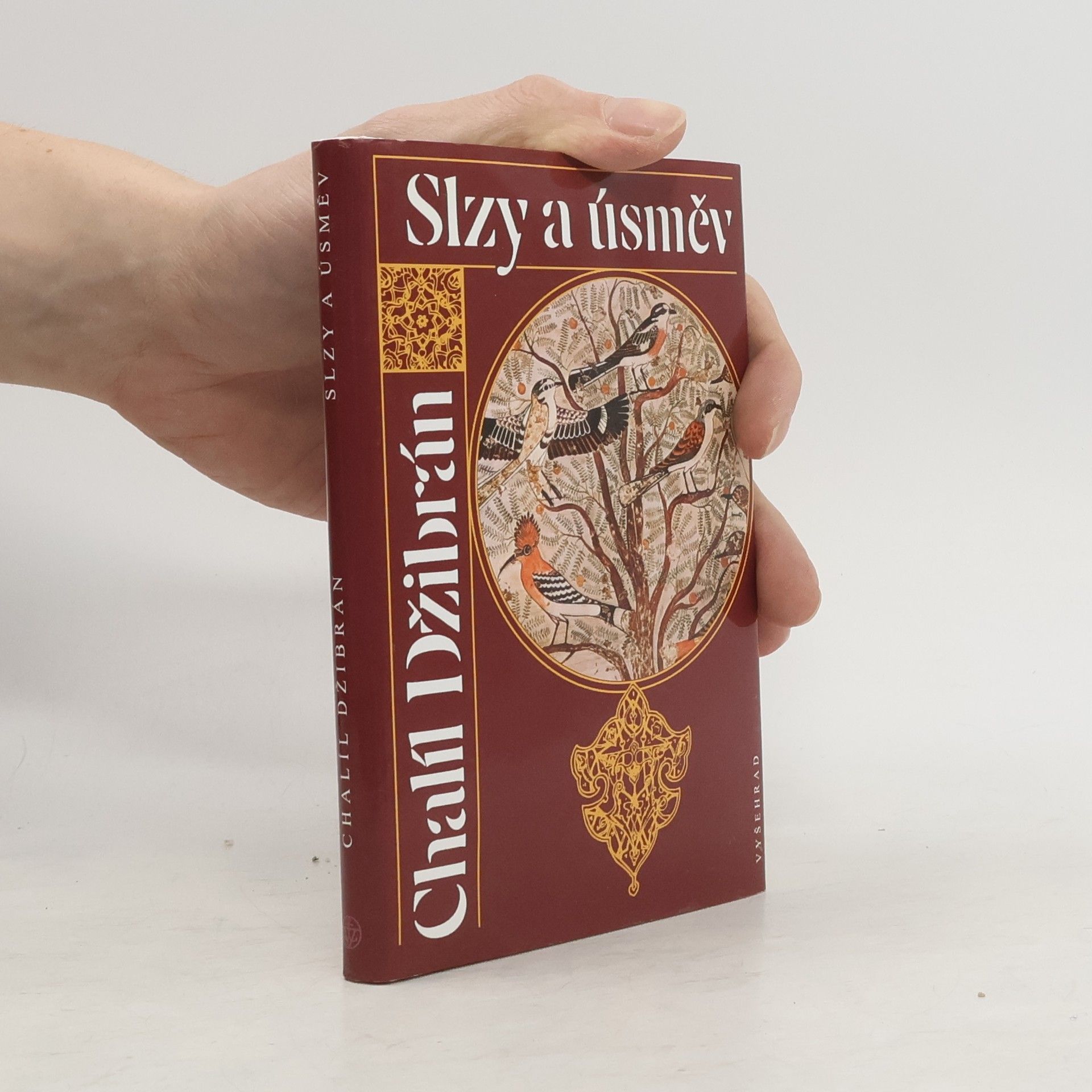 Kahlil Gibran Slzy a úsměv