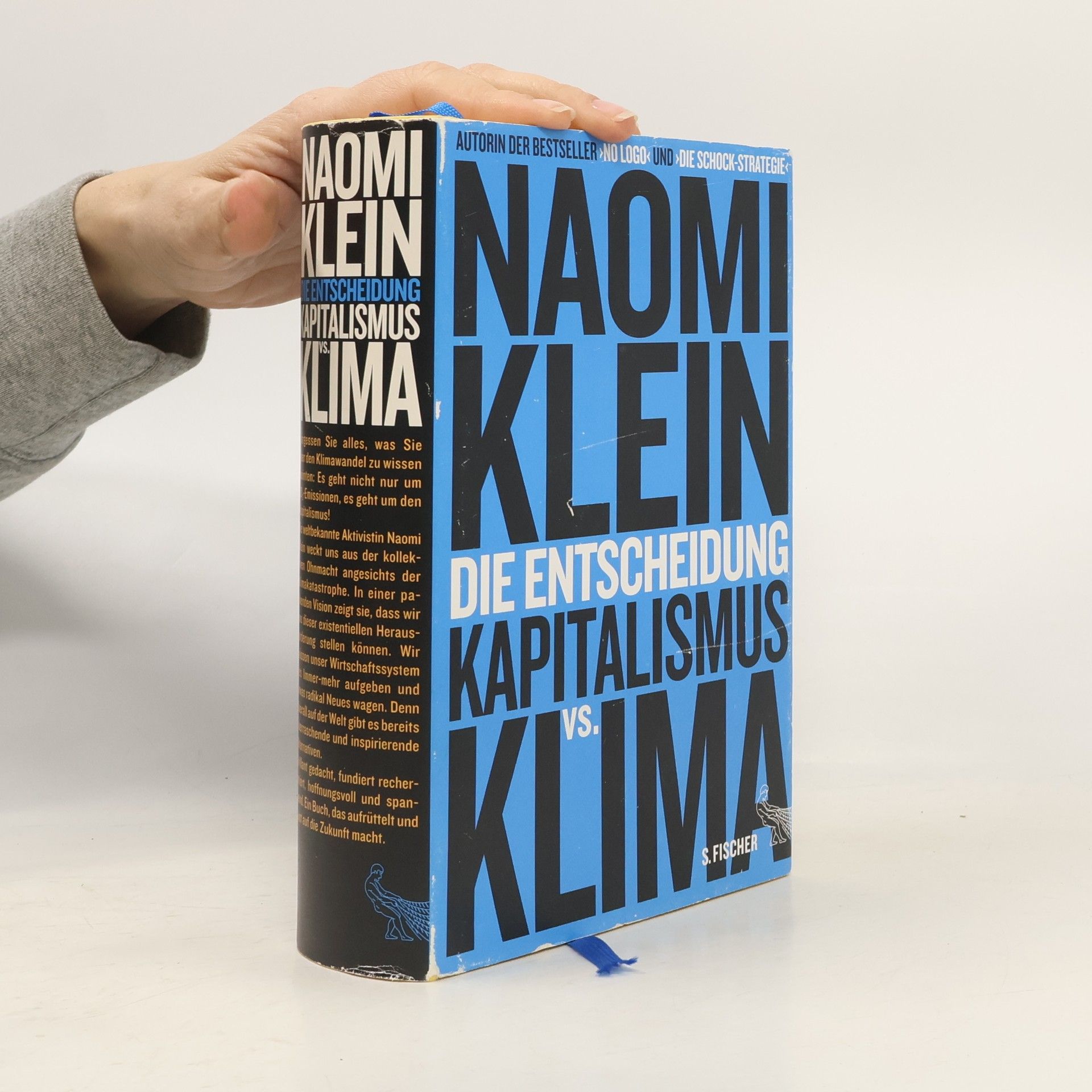 Naomi Klein Die Entscheidung