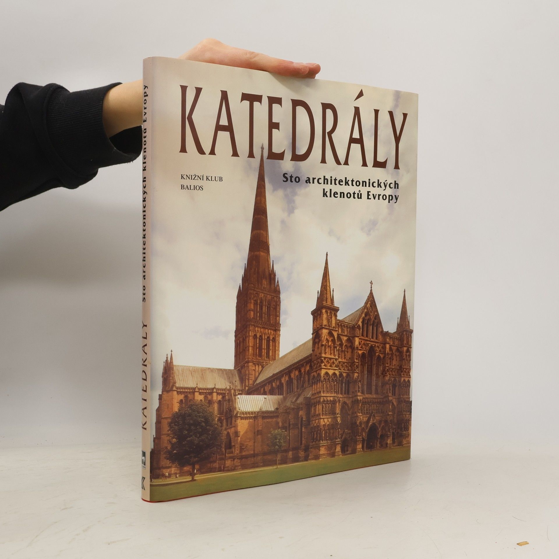 Kolektiv autorů Katedrály : sto architektonických klenotů Evropy