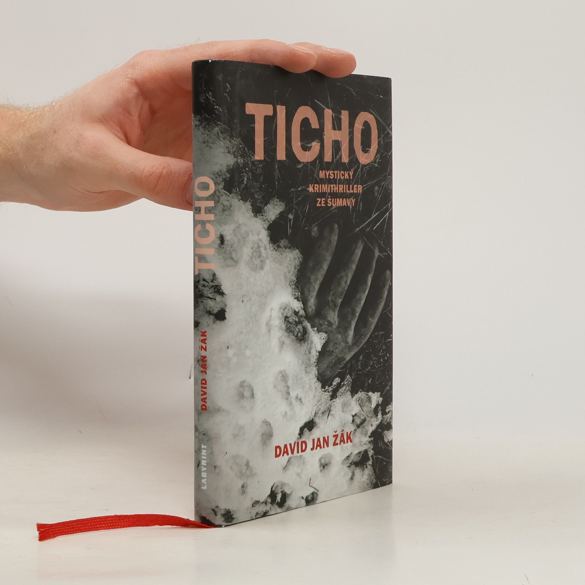 David Jan Žák Ticho