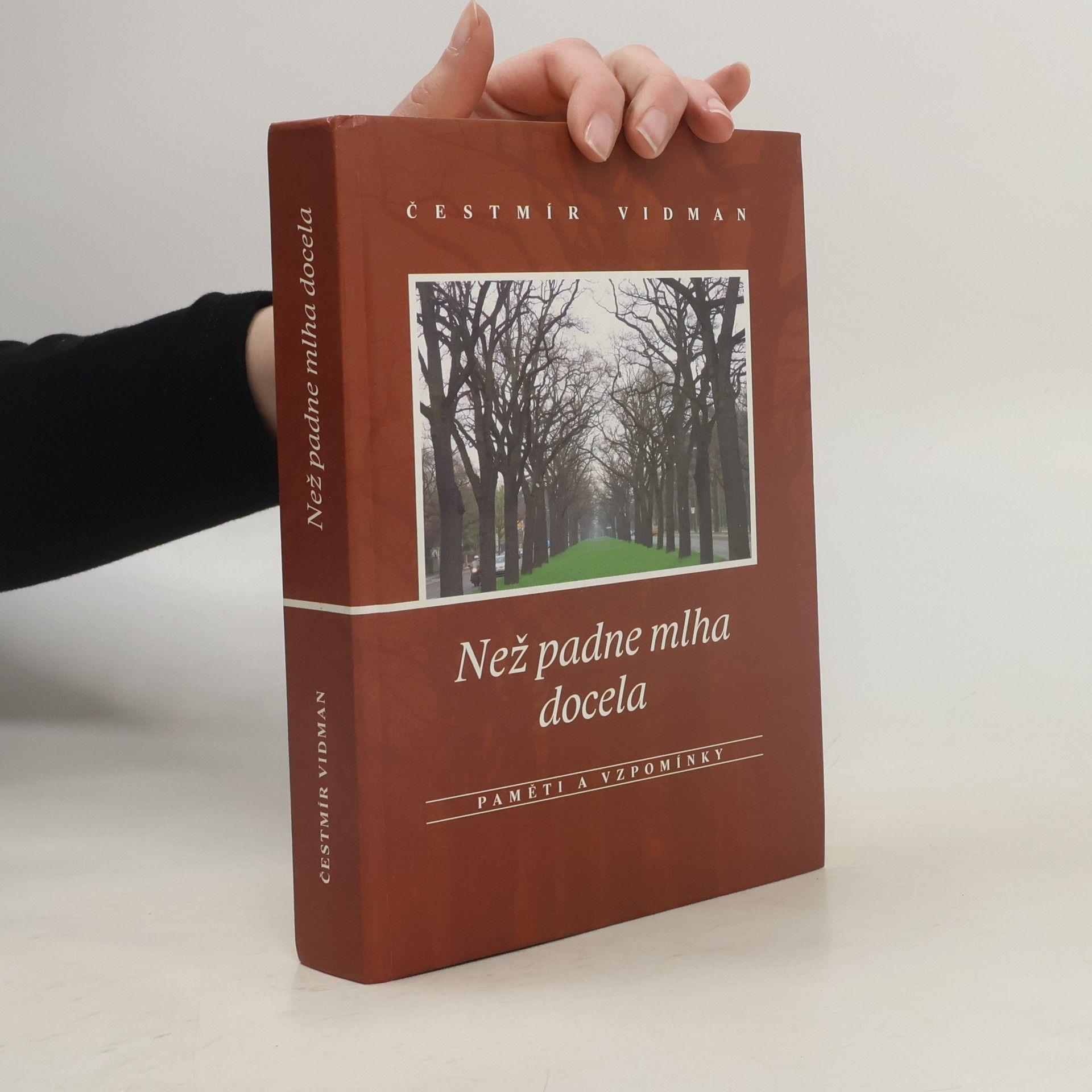 Čestmír Vidman Než padne mlha docela