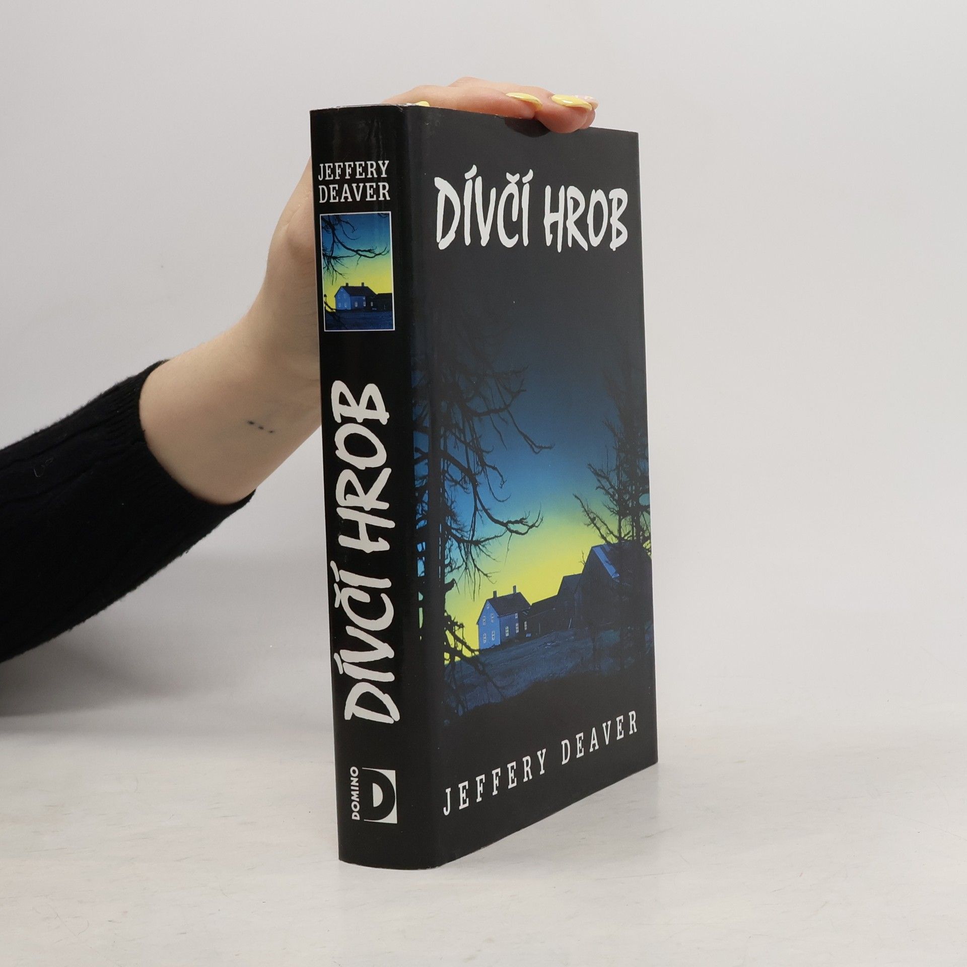 Jeffery Deaver Dívčí hrob