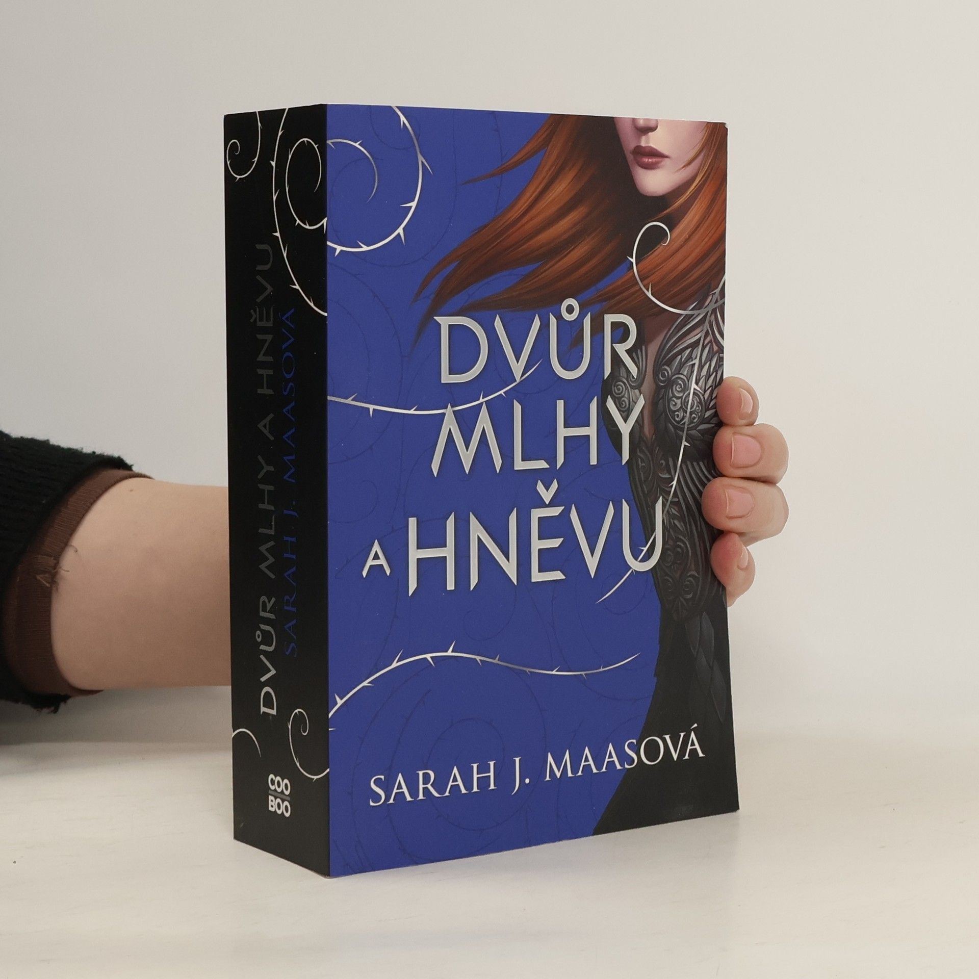 Sarah J. Maas Dvůr mlhy a hněvu