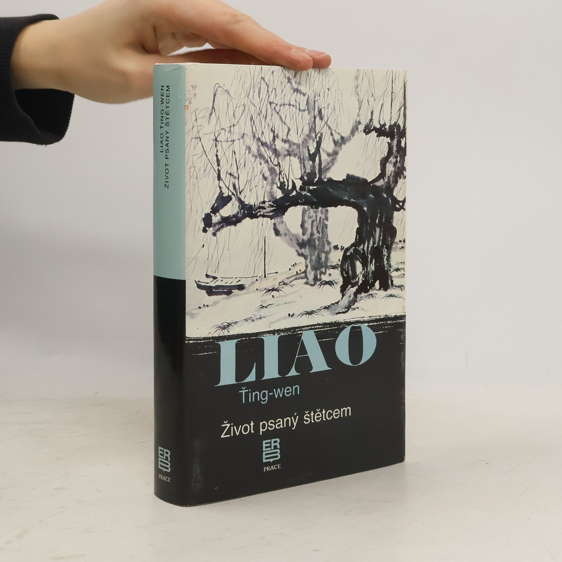 Ťing wen Liao Život psaný štětcem