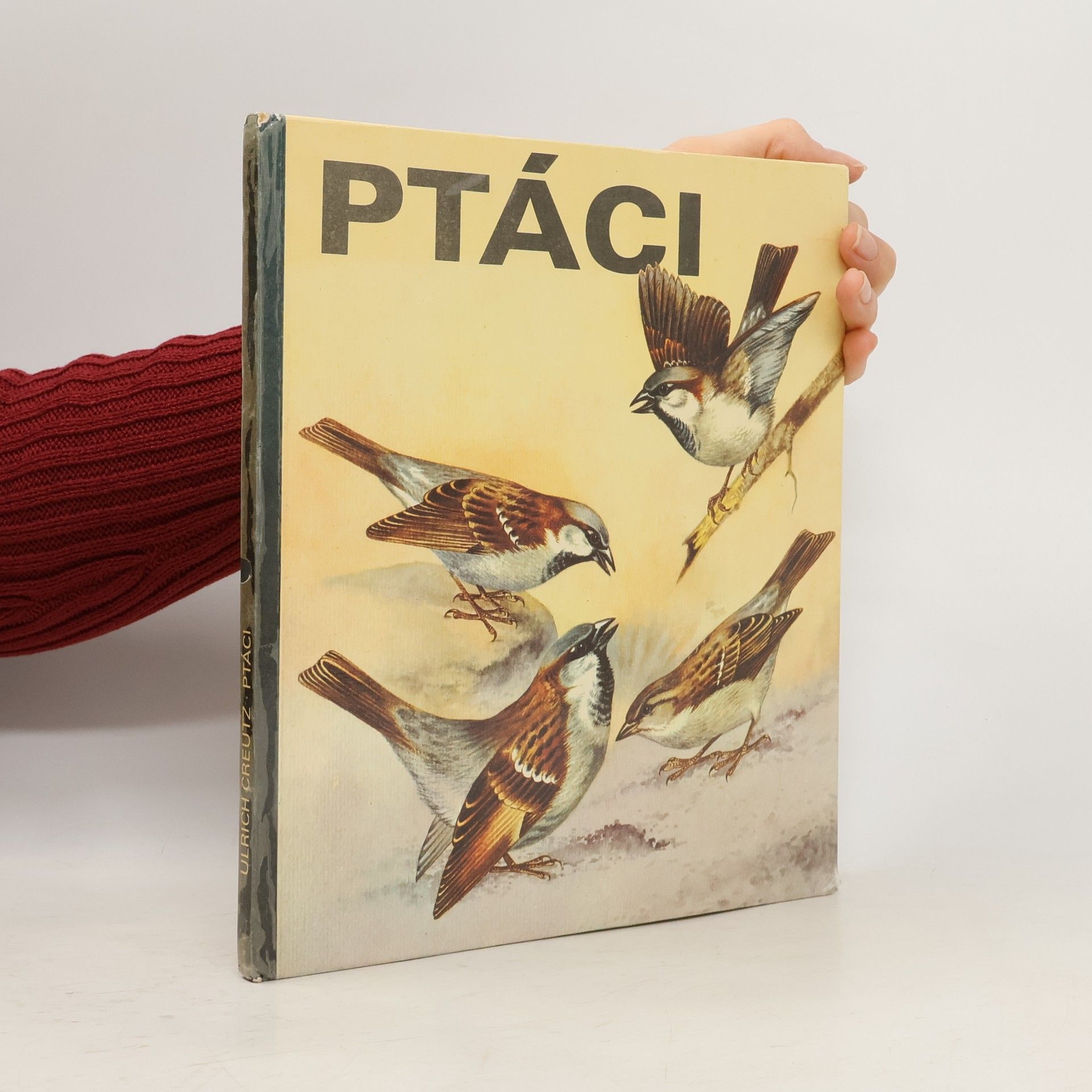 Ulrich Creutz Ptáci