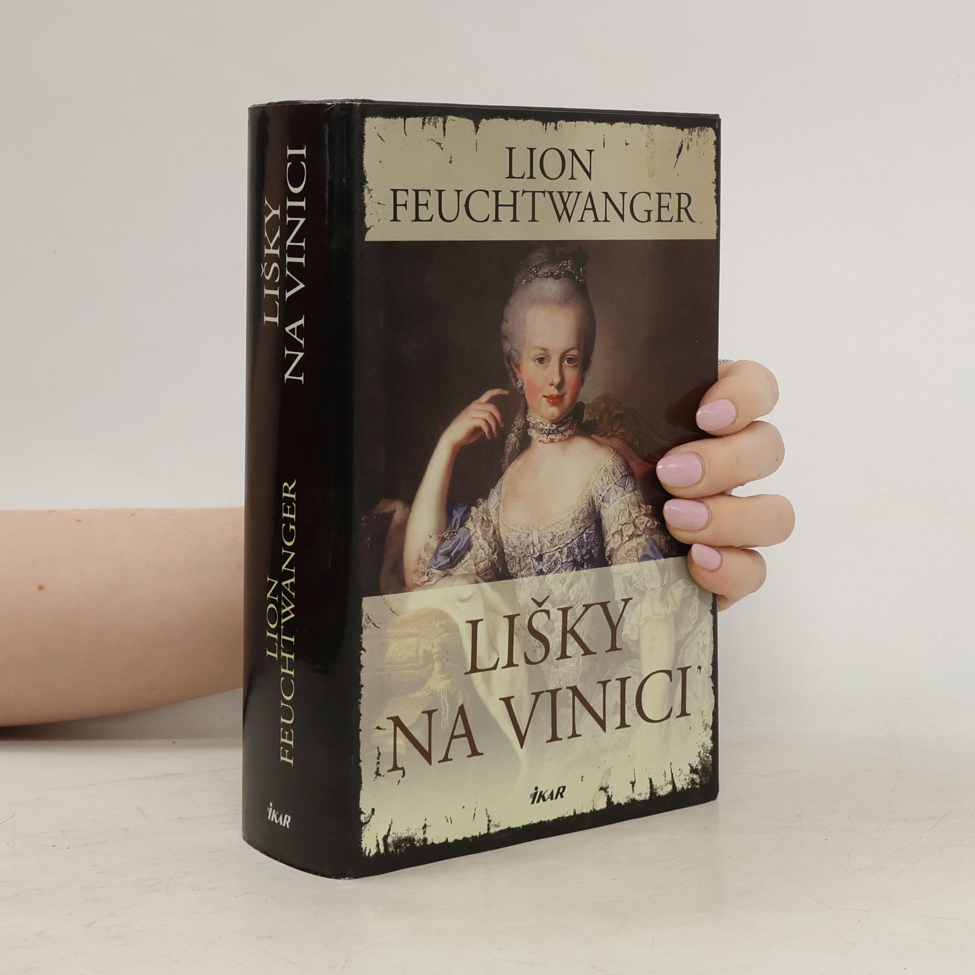 Lion Feuchtwanger Lišky na vinici