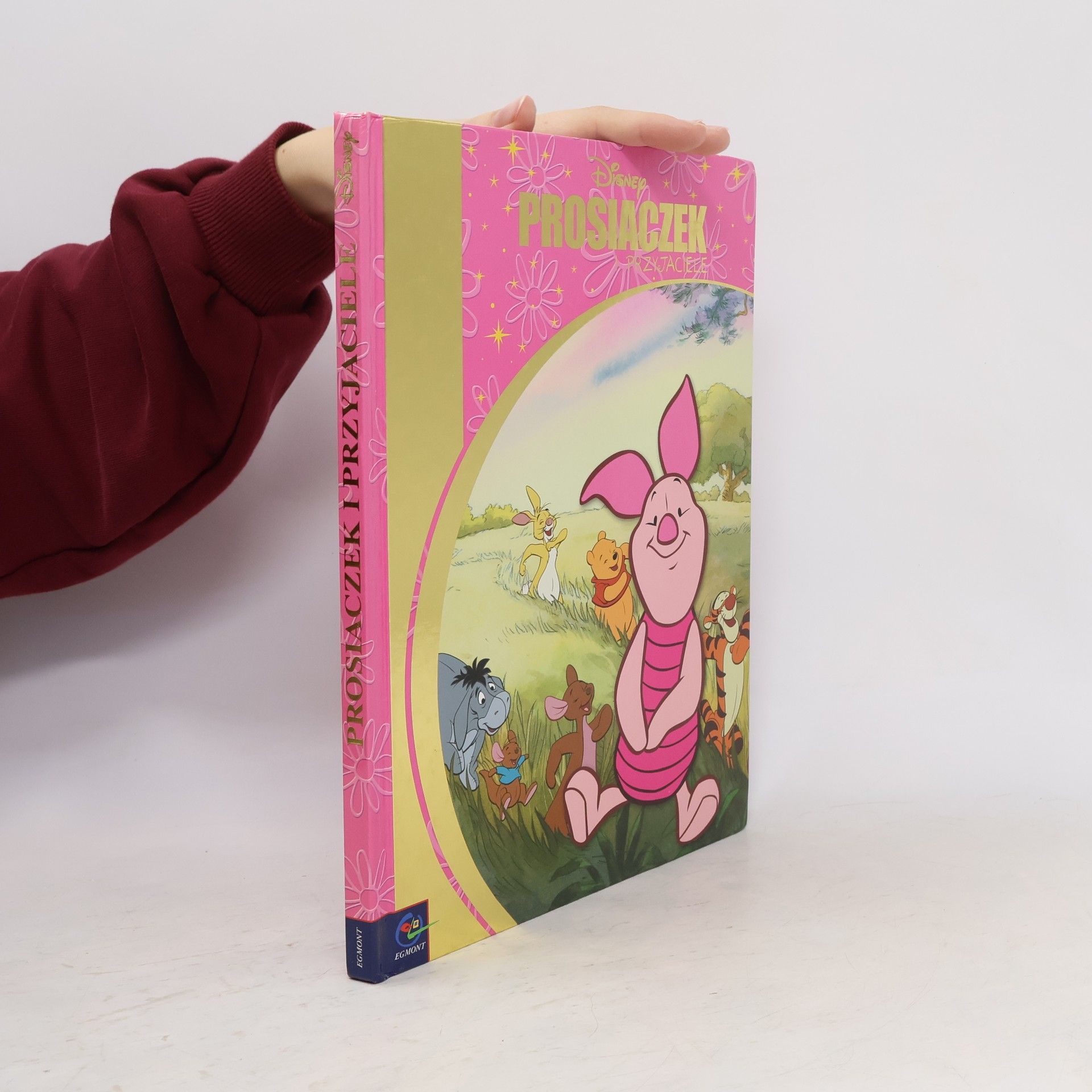 Autorenkollektiv Kubus Puchatek Prosiaczek i przyjaciele