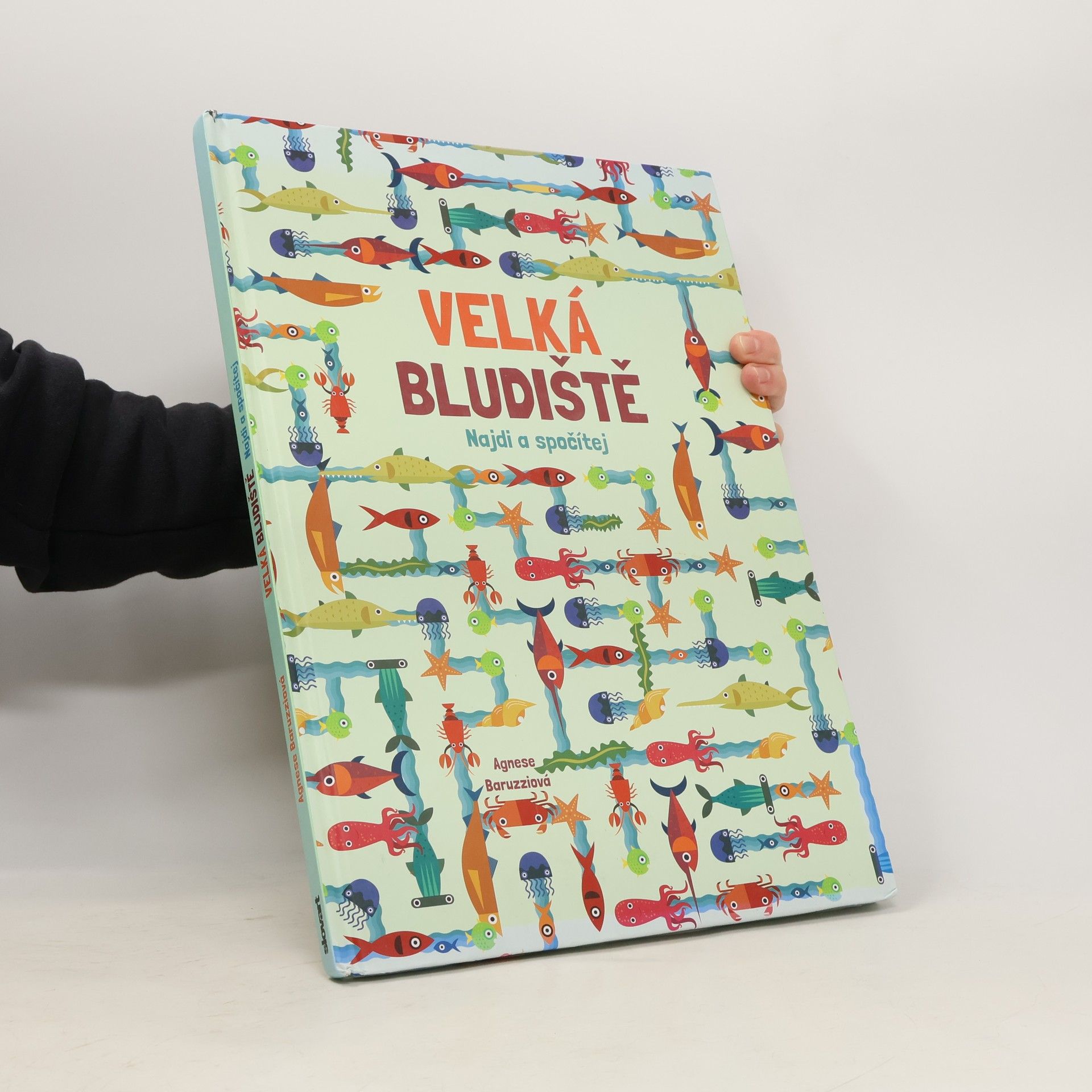 Agnese Baruzzi Velká bludiště - Najdi a spočítej