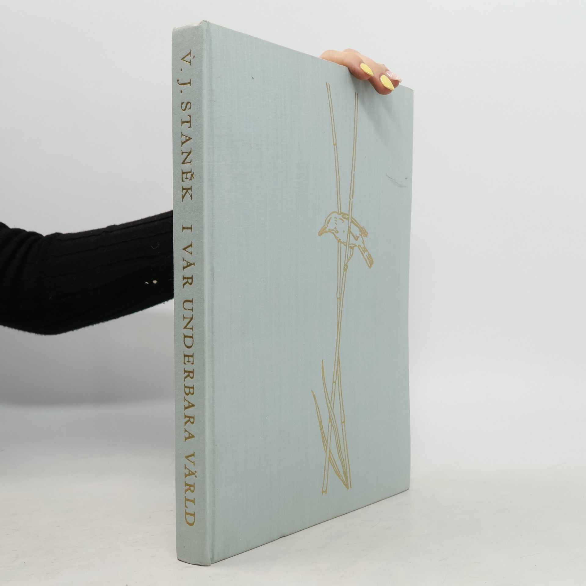 Václav Jan Staněk I vår underbara värld