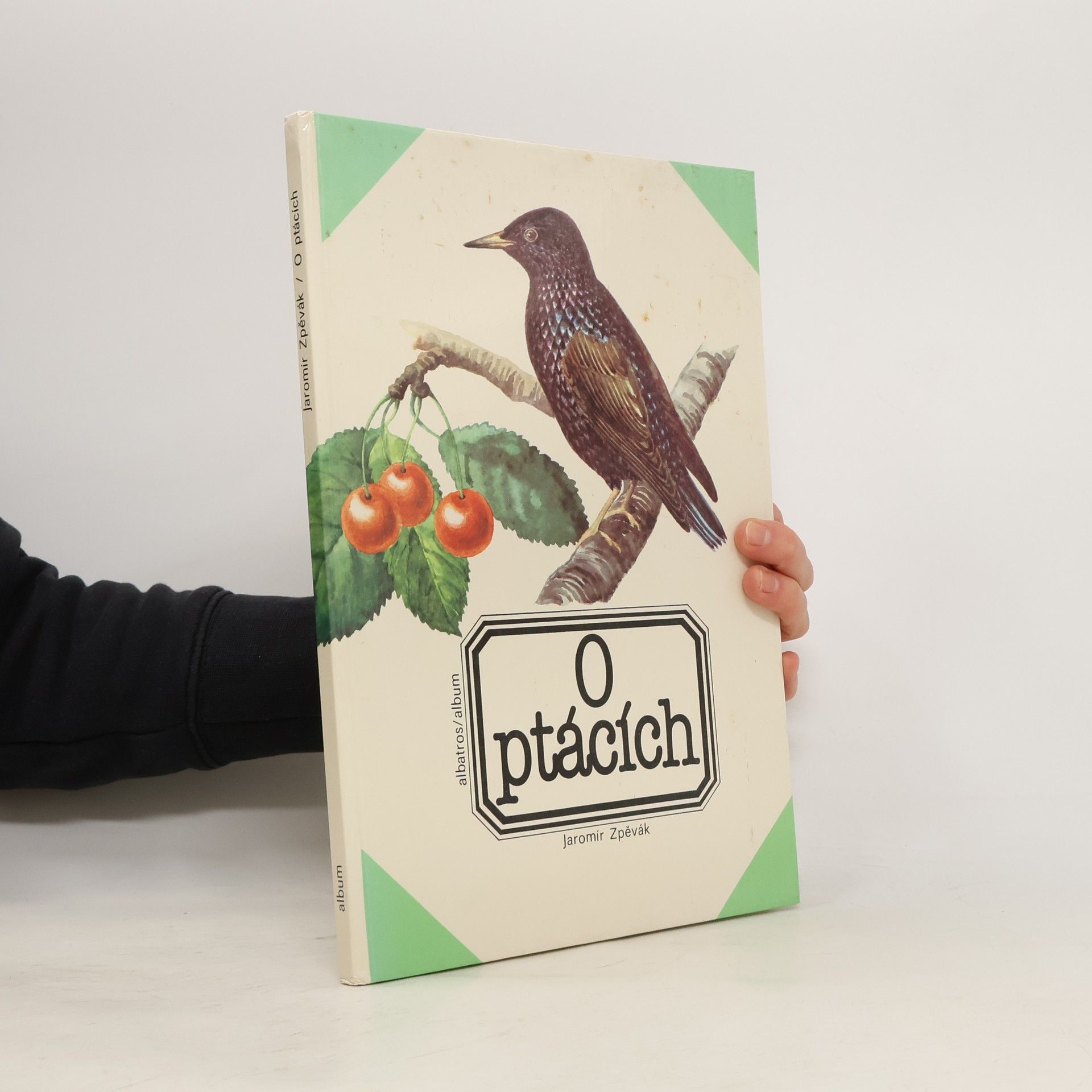 Jaromír Zpěvák O ptácích