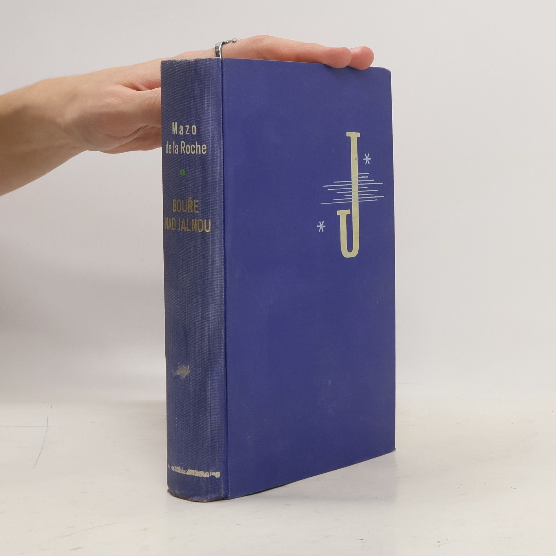 Mazo De la Roche Bouře nad Jalnou