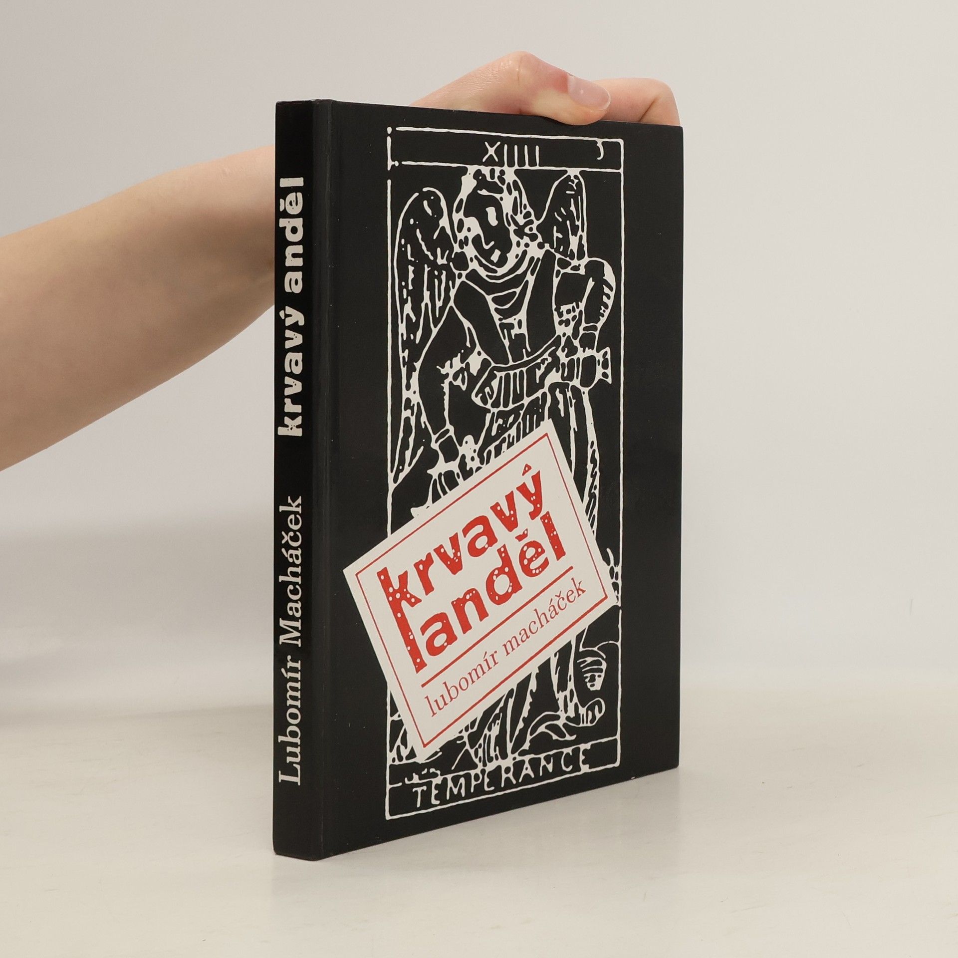 Lubomír Macháček Krvavý anděl