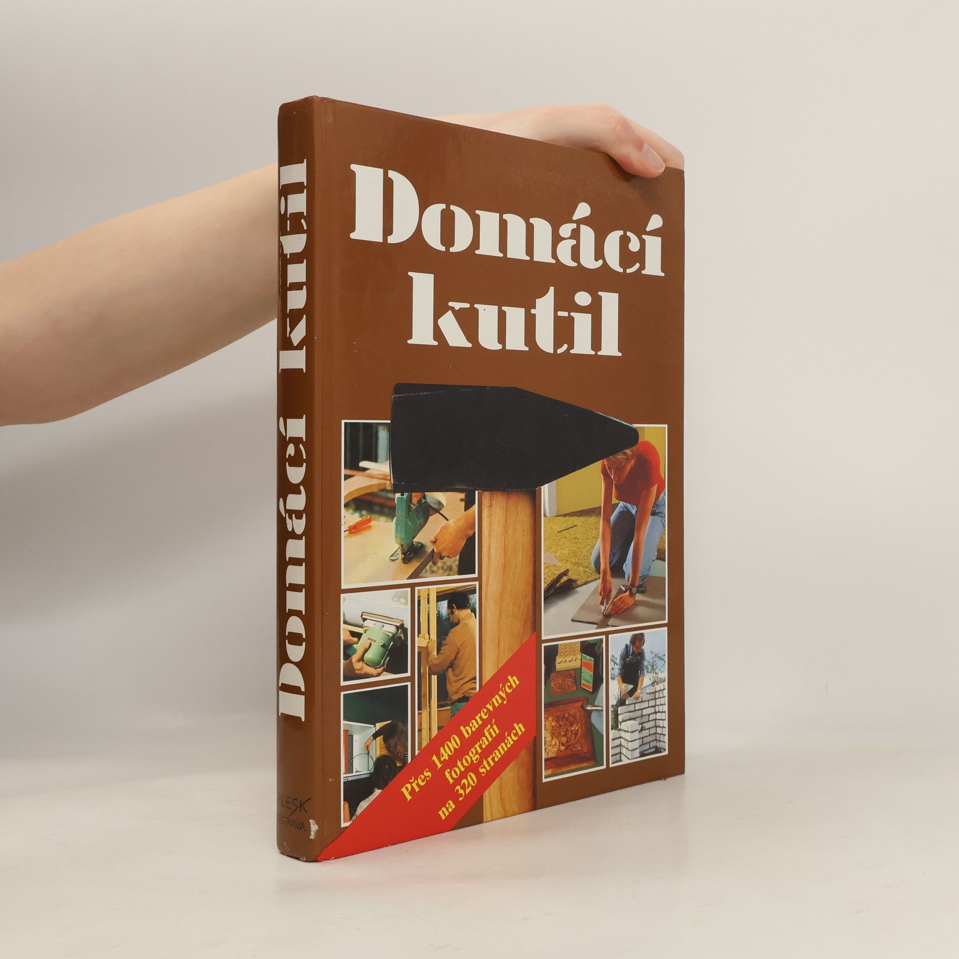 Marie Míčová Domácí kutil