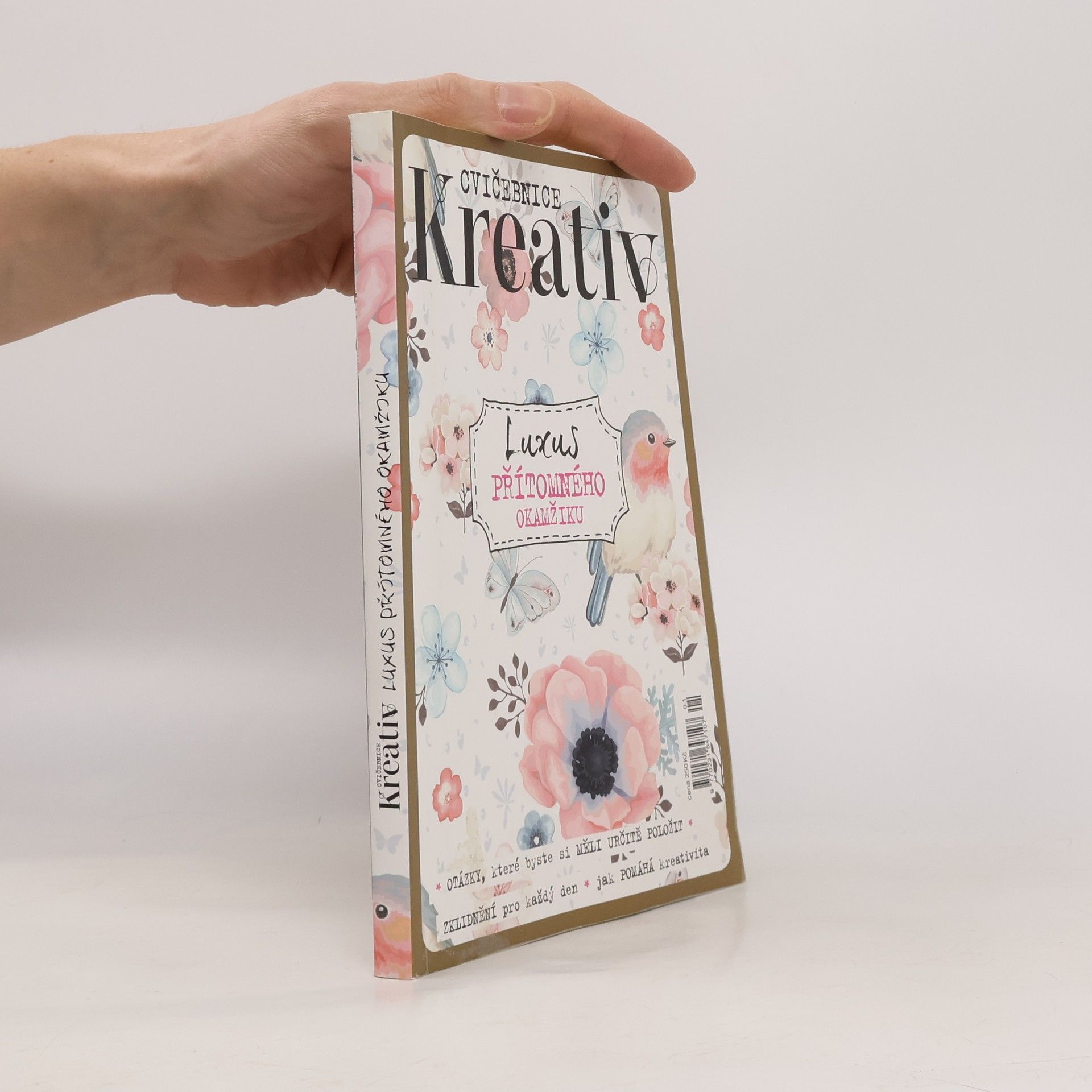 Zuzana Šikýřová Cvičebnice Kreativ: Luxus přítomného okamžiku