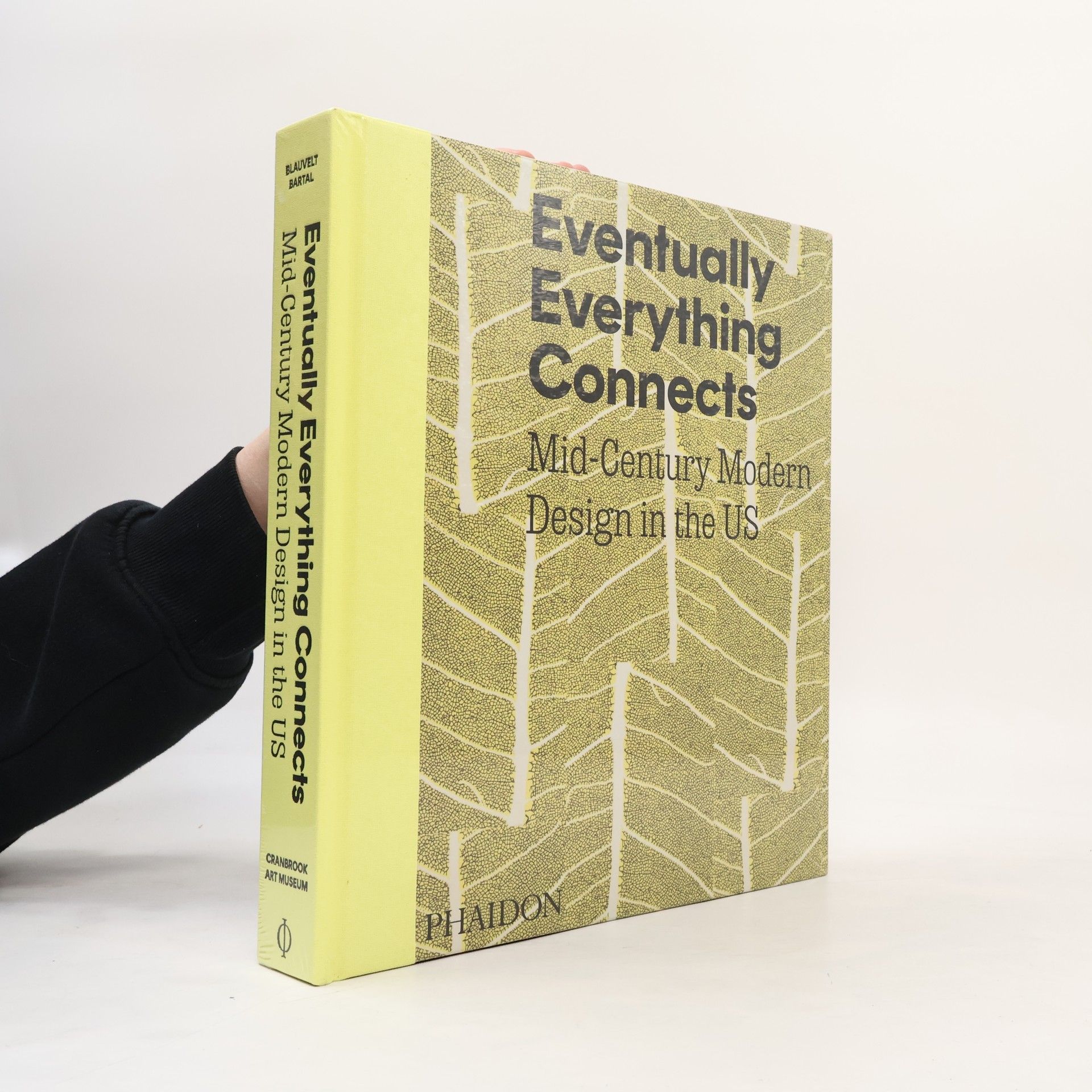 Andrew Satake Blauvelt Eventually Everything Connects