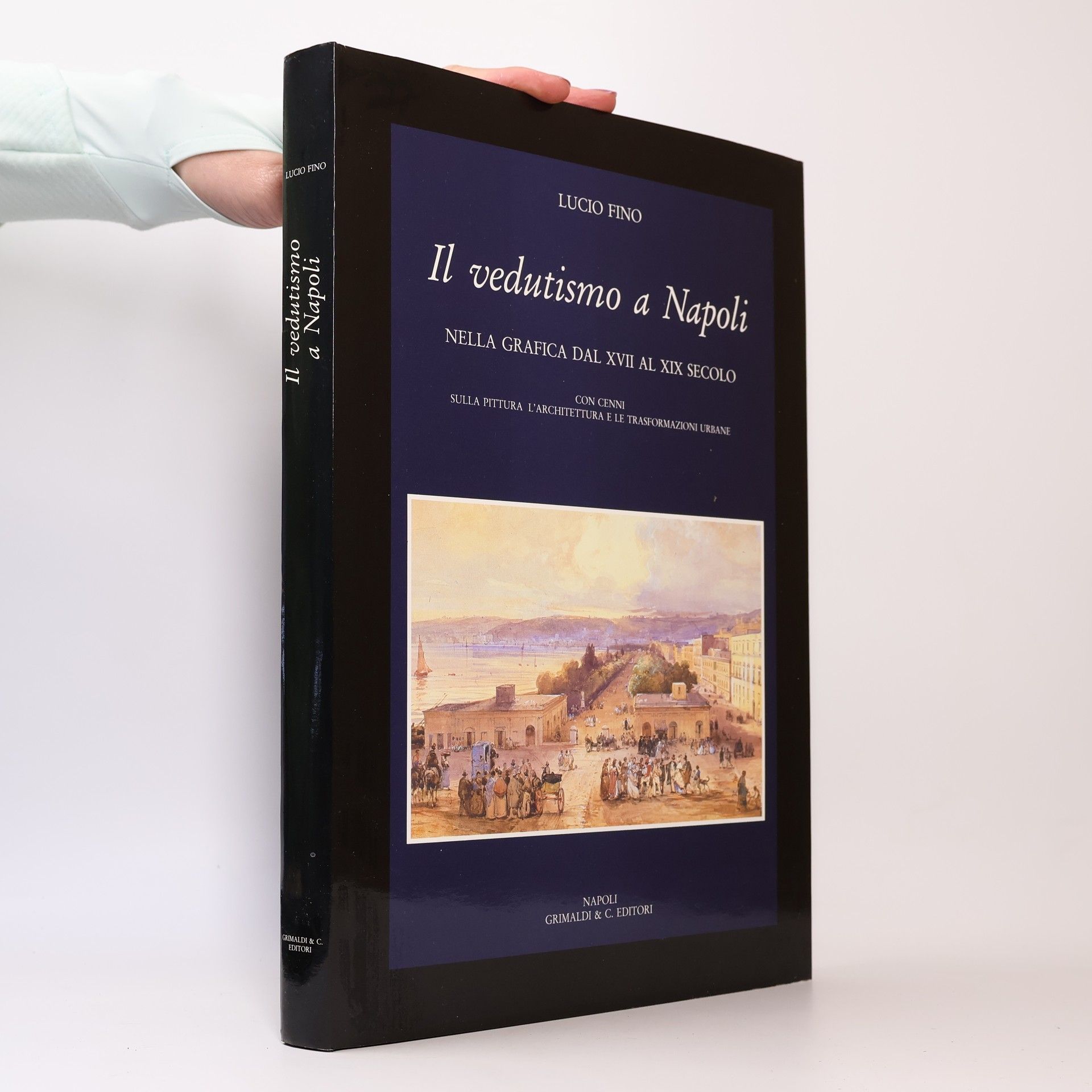 Lucio Fino Il vedutismo a Napoli