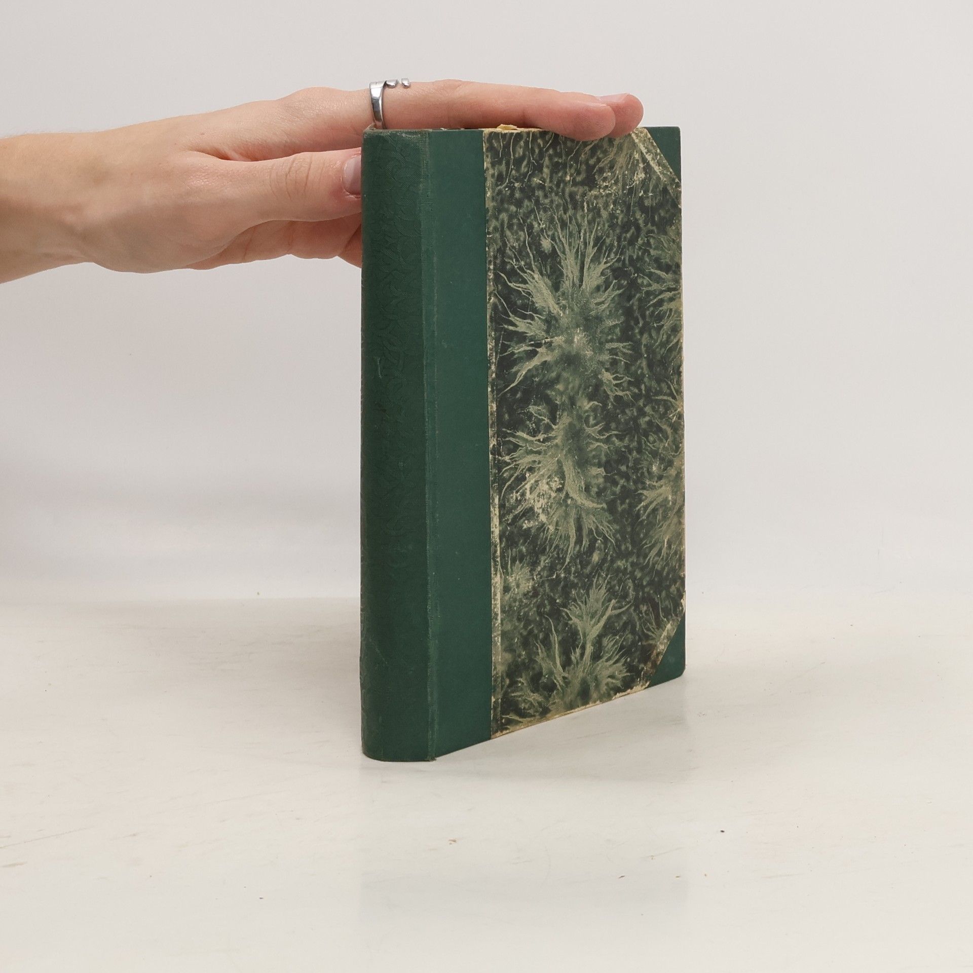 Alexandre Dumas starší Vikomt z Bragelonnu V.