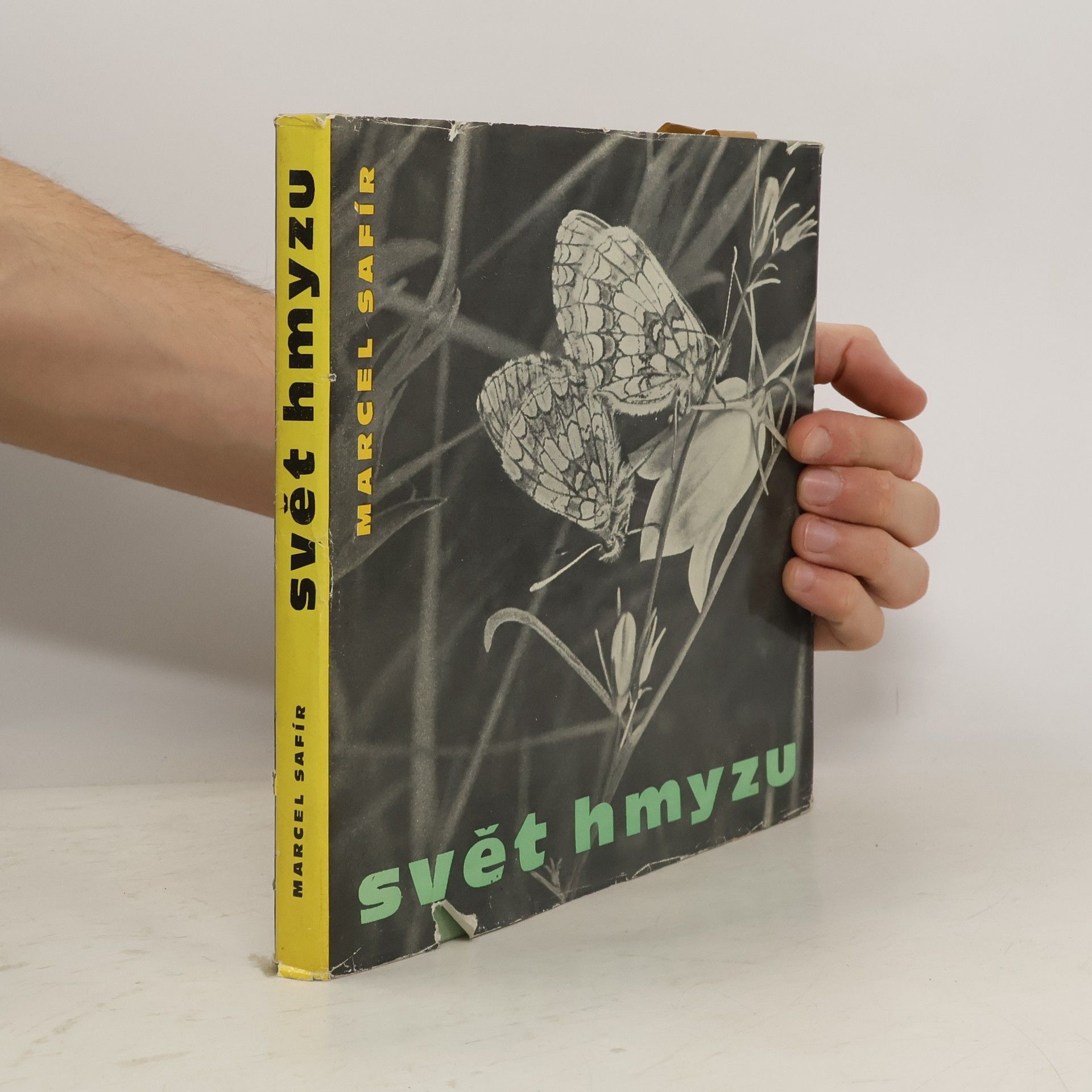 Marcel Safír Svět hmyzu