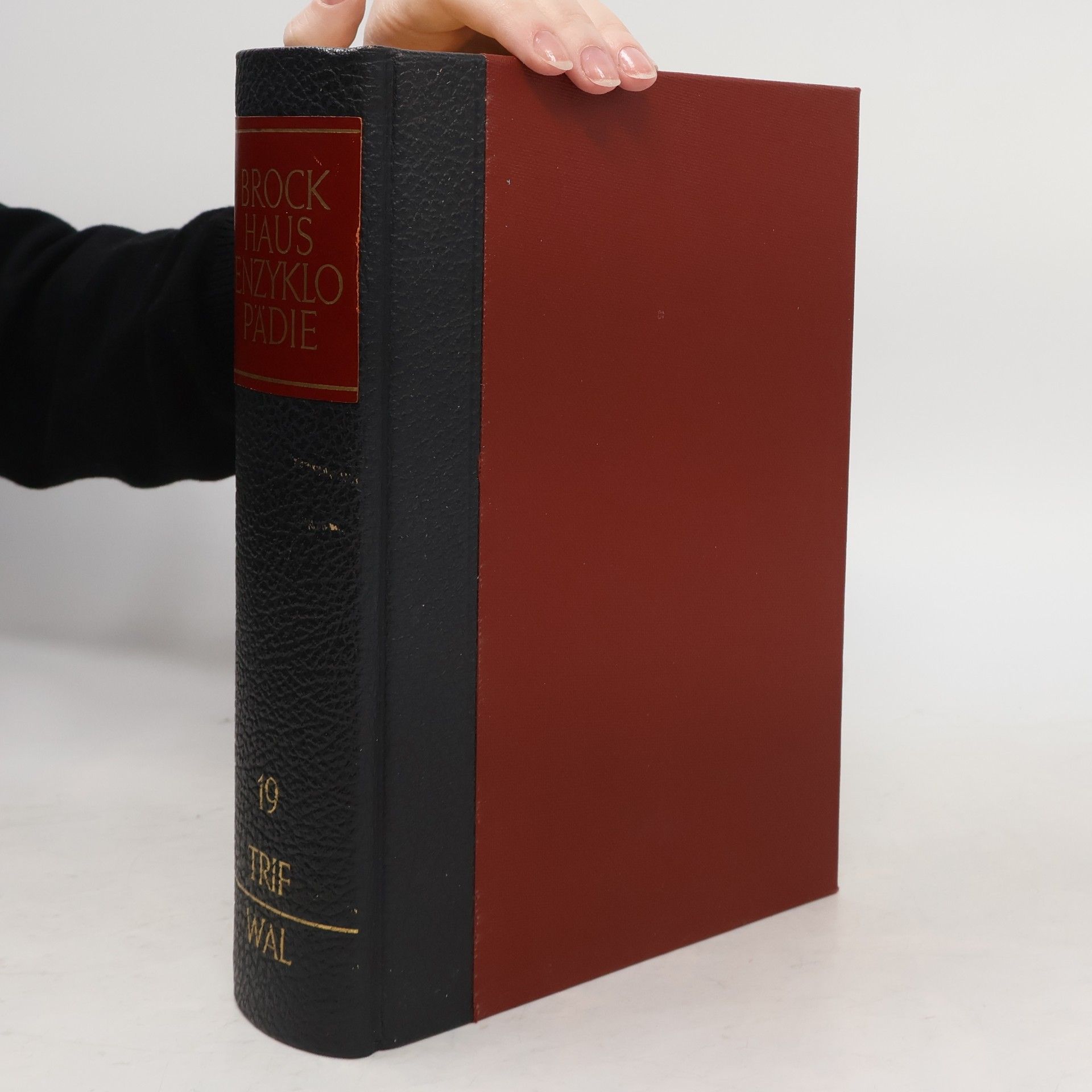 Collectif d'auteurs Brockhaus Enzyklopädie 19. TRIF-WAL