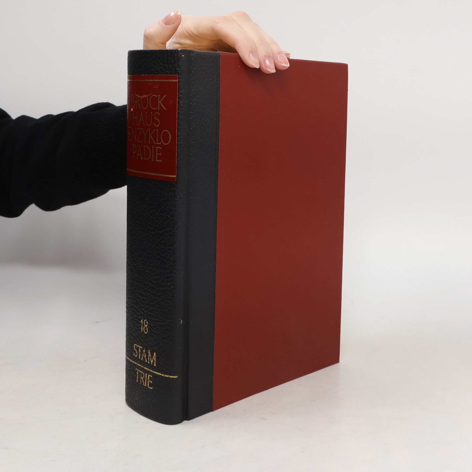 Kolektiv autorů Brockhaus Enzyklopädie 18. Stam-Trie