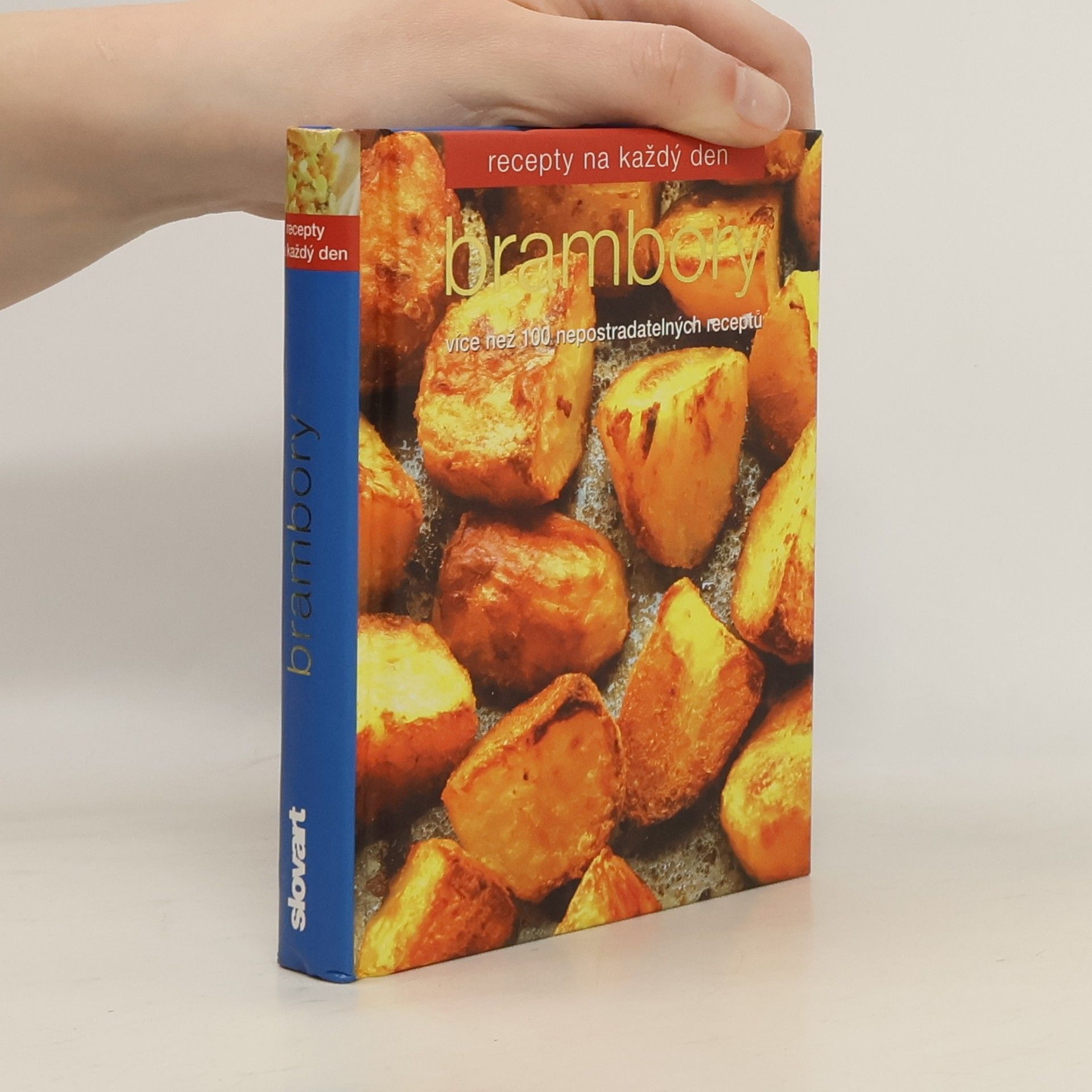 Lucie Peisertová Brambory: Více než 100 nepostradatelných receptů