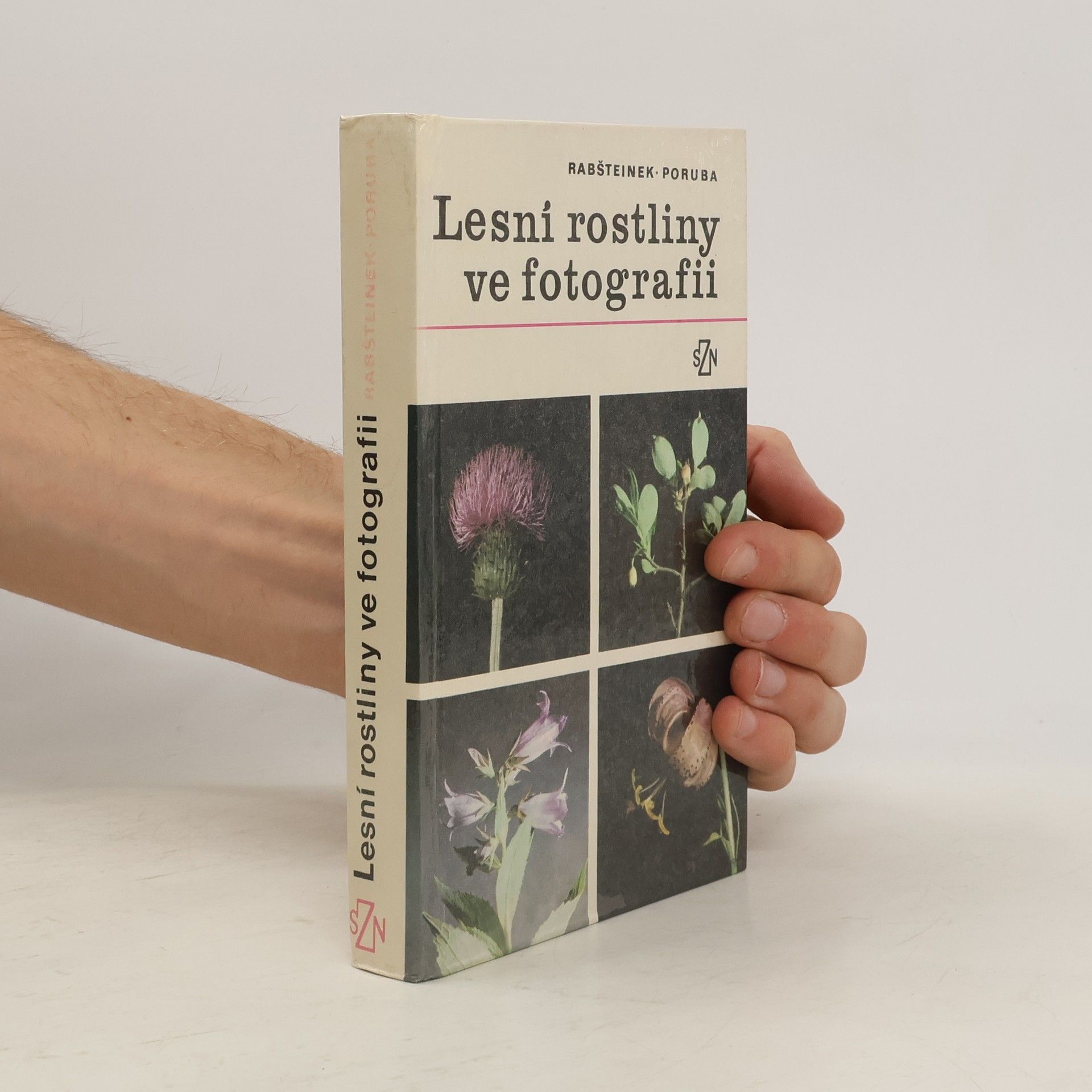 Lesní rostliny ve fotografii