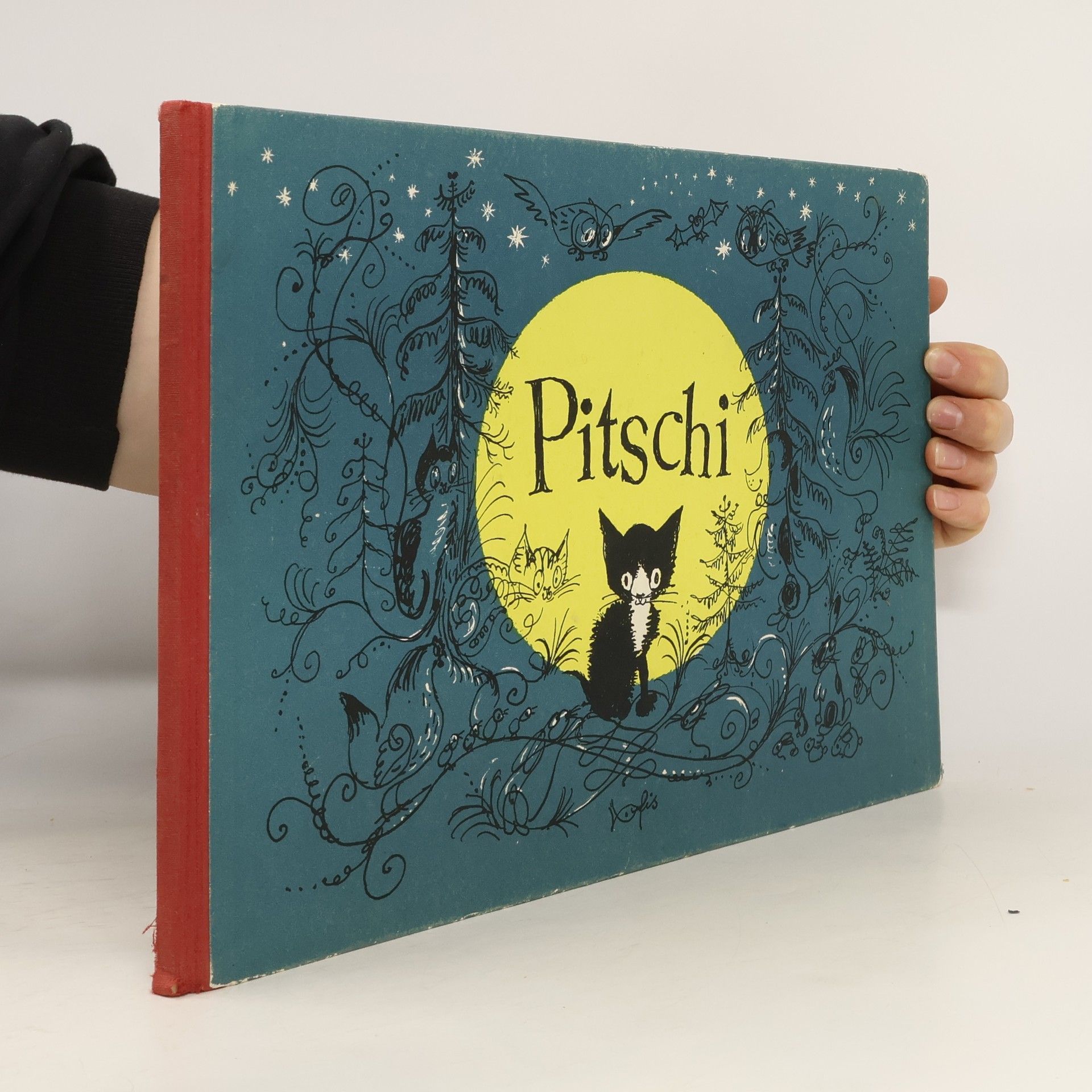 Hans Fischer Pitschi