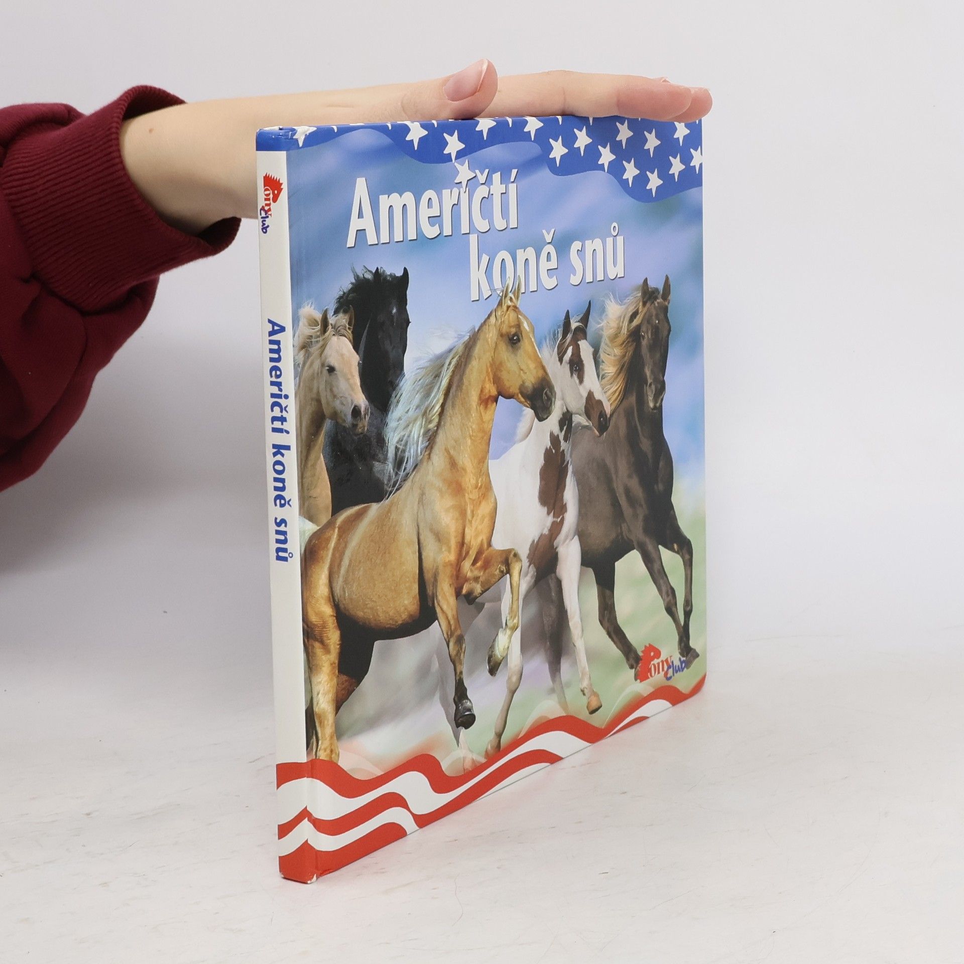 Autorenkollektiv Američtí koně snů