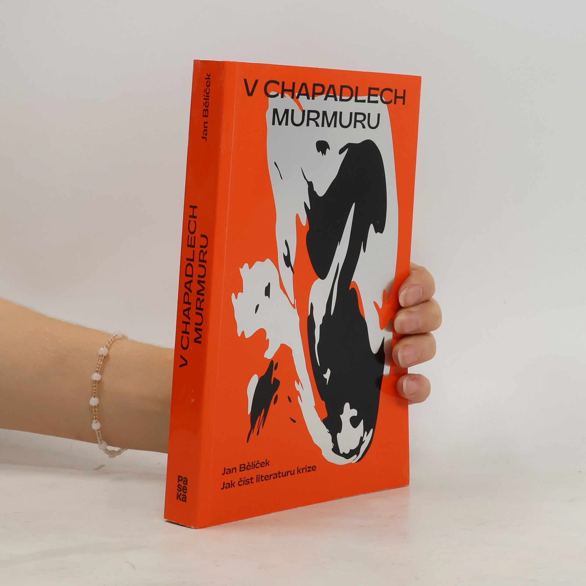 Jan Bělíček V chapadlech murmuru : jak číst literaturu krize