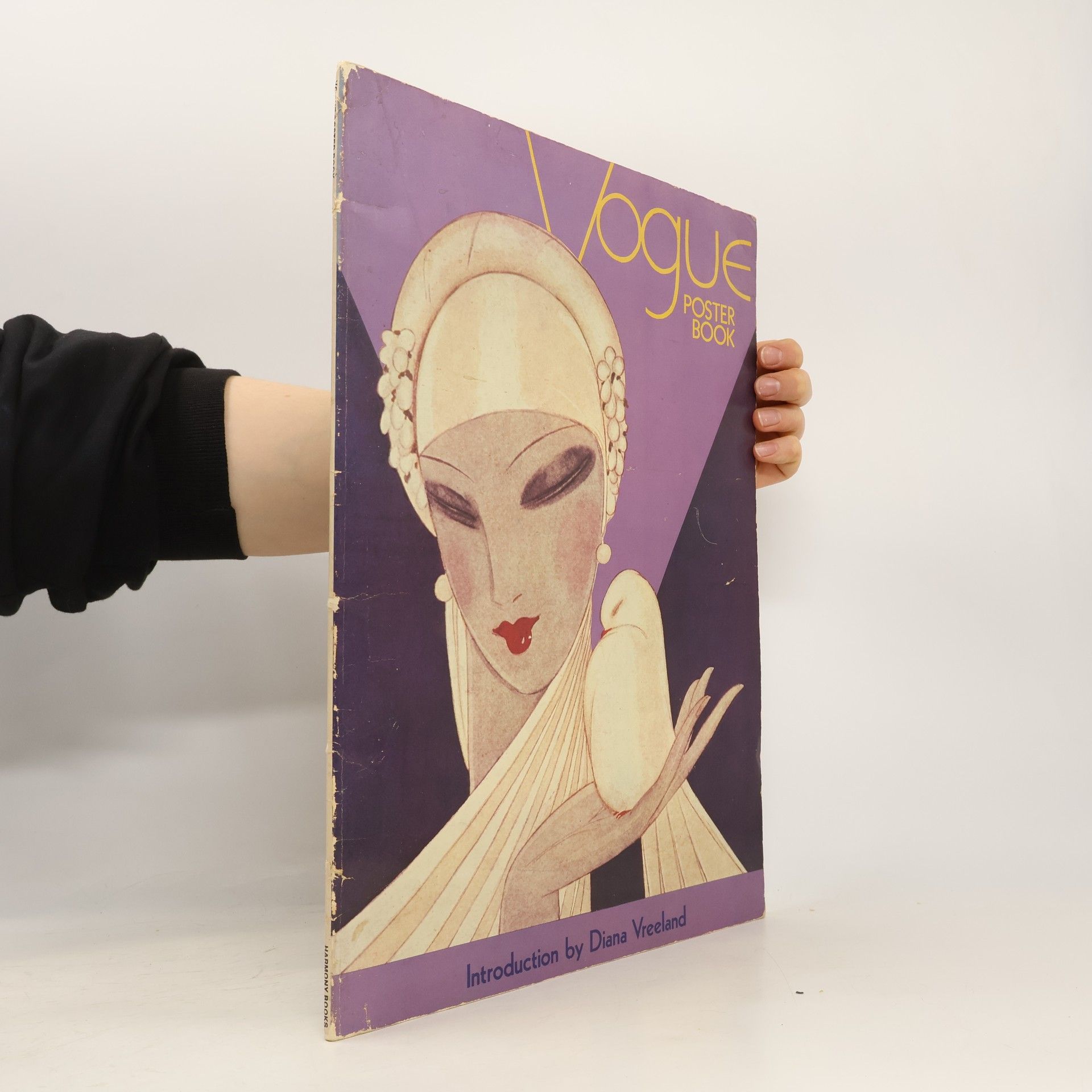 Diana Vreeland Vogue Poster Book