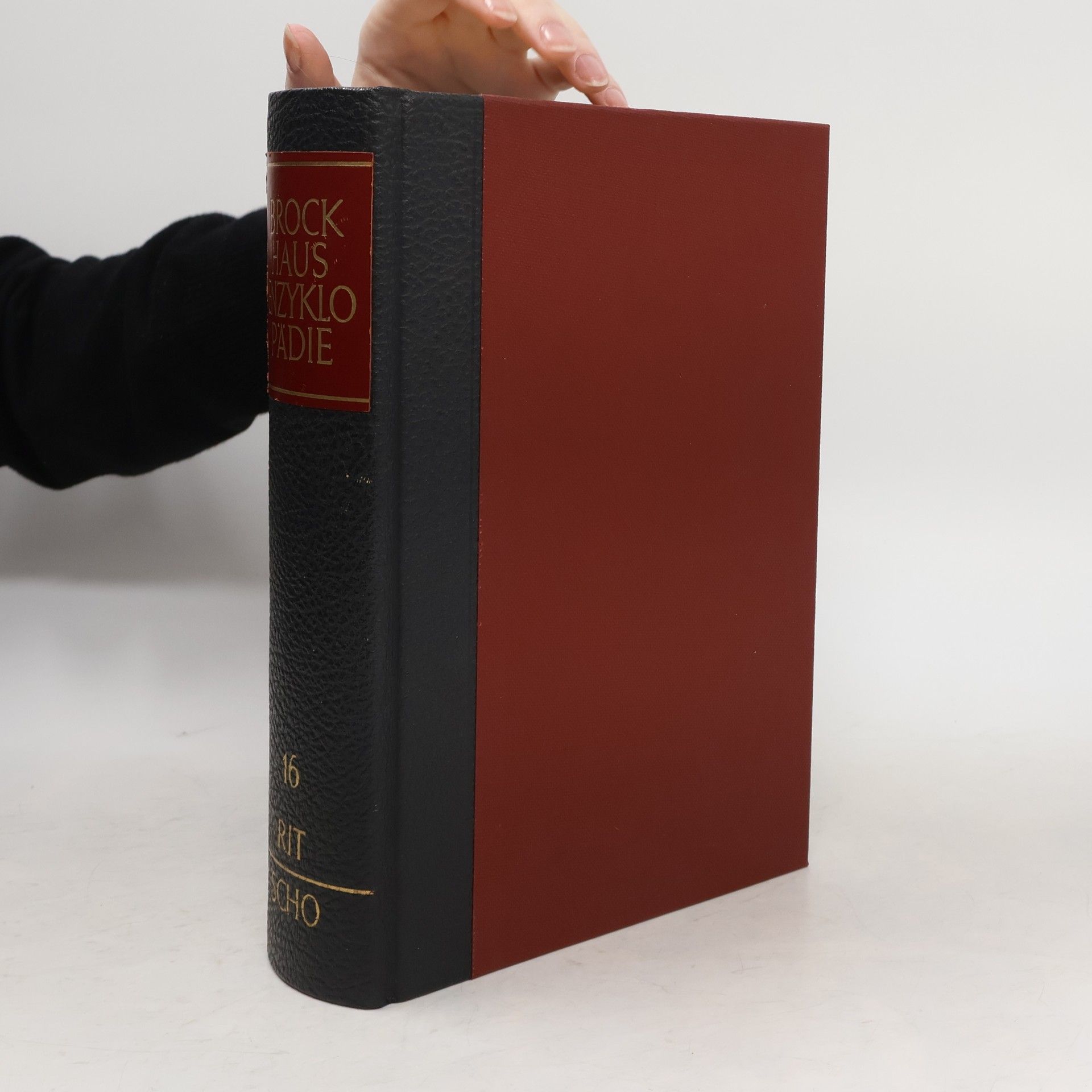 Kolektiv autorů Brockhaus Enzyklopädie 16. RIT-SCHO
