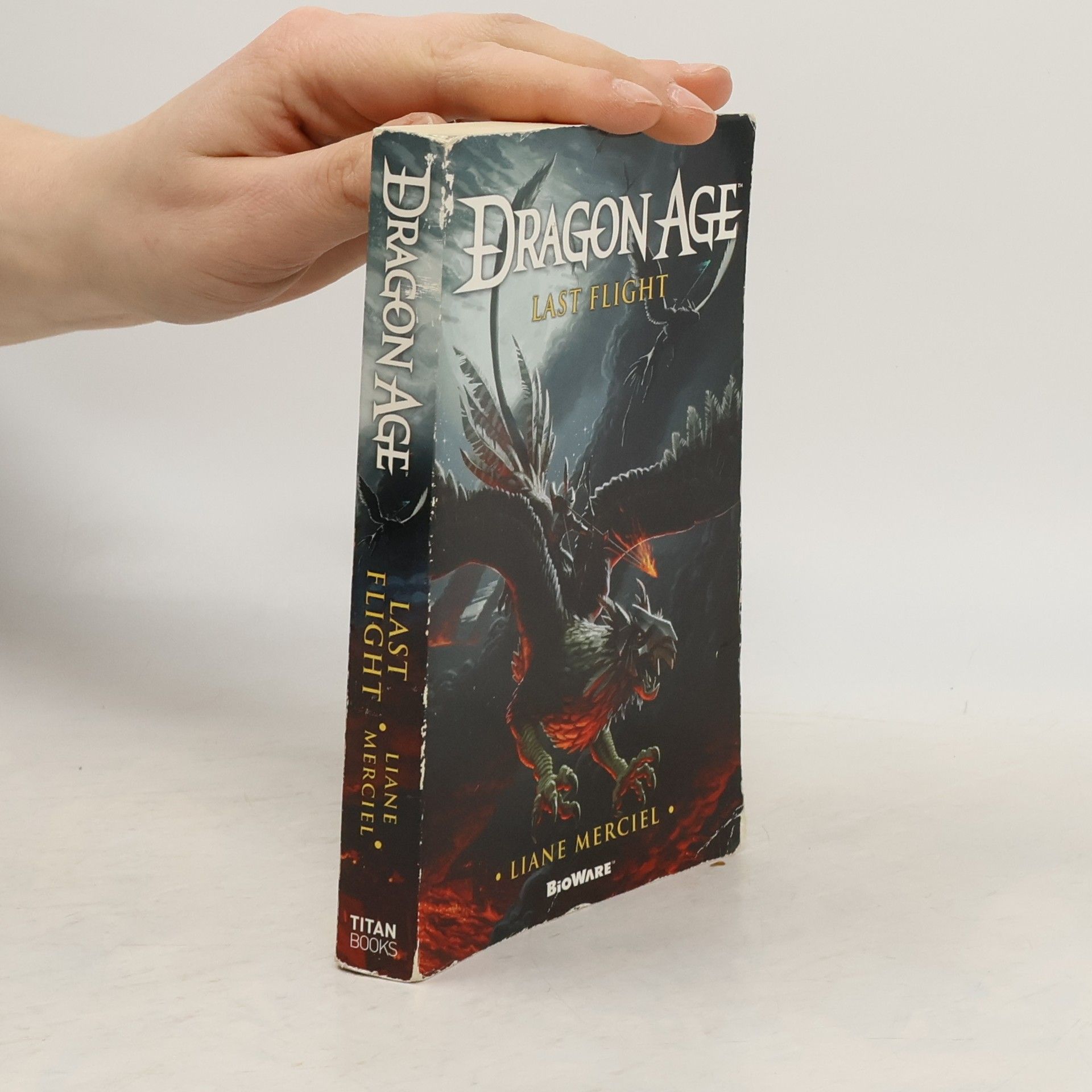 Liane Merciel Last Flight