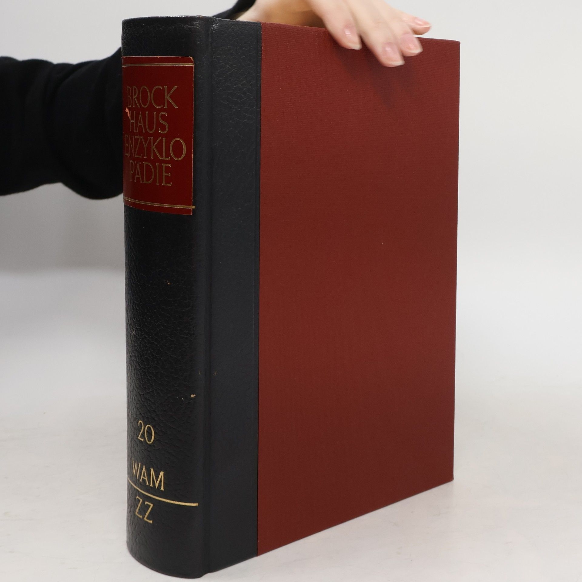 Kolektiv autorů Brockhaus Enzyklopädie 20. WAM-ZZ
