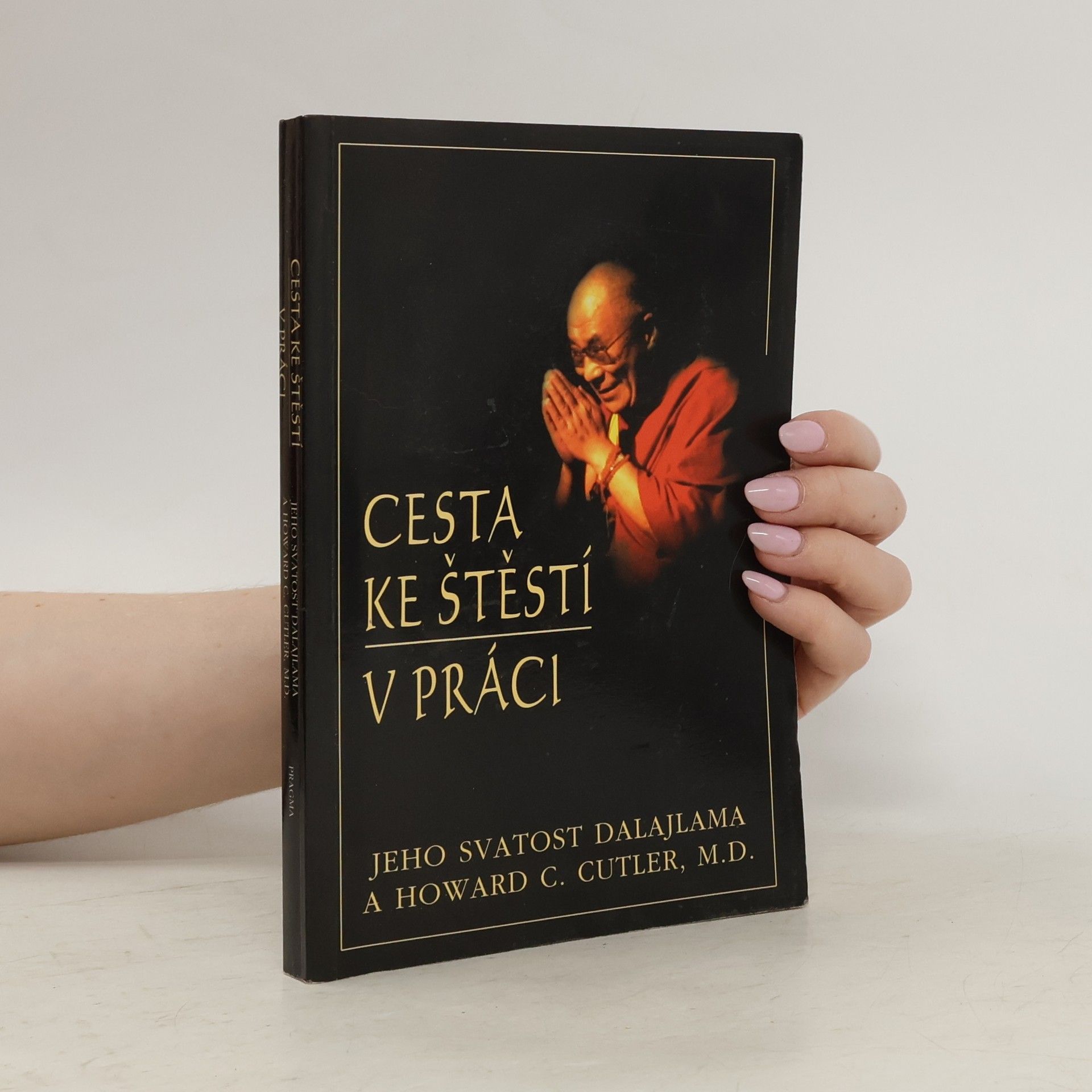 Tändzin Gjamccho Cesta ke štěstí v práci